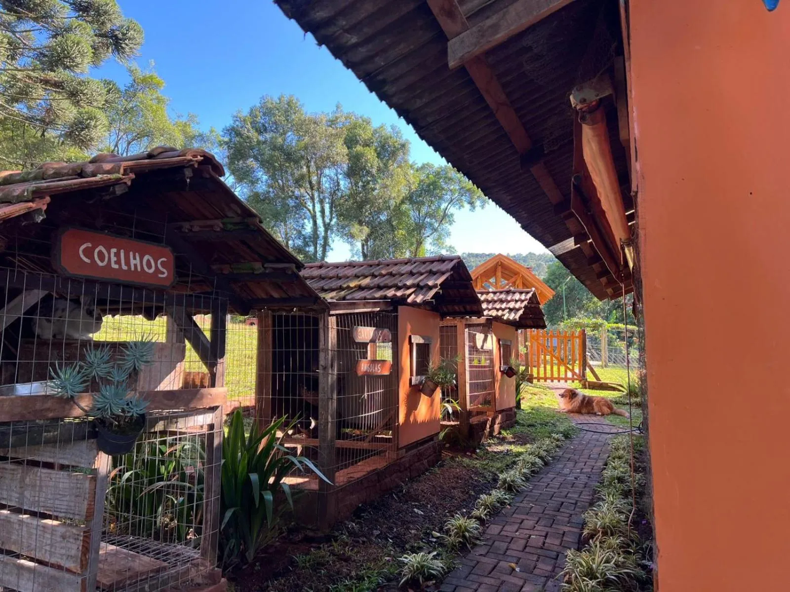 Day in Pousada Maibe Amanhecer na Serra