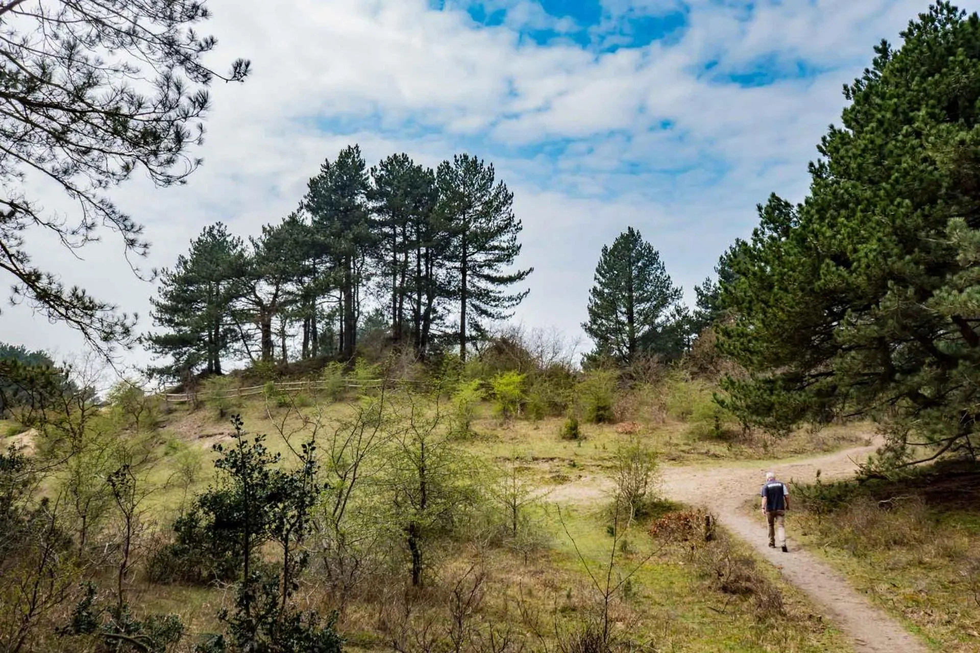 Natural landscape in Southpoint Zandvoort & private parking