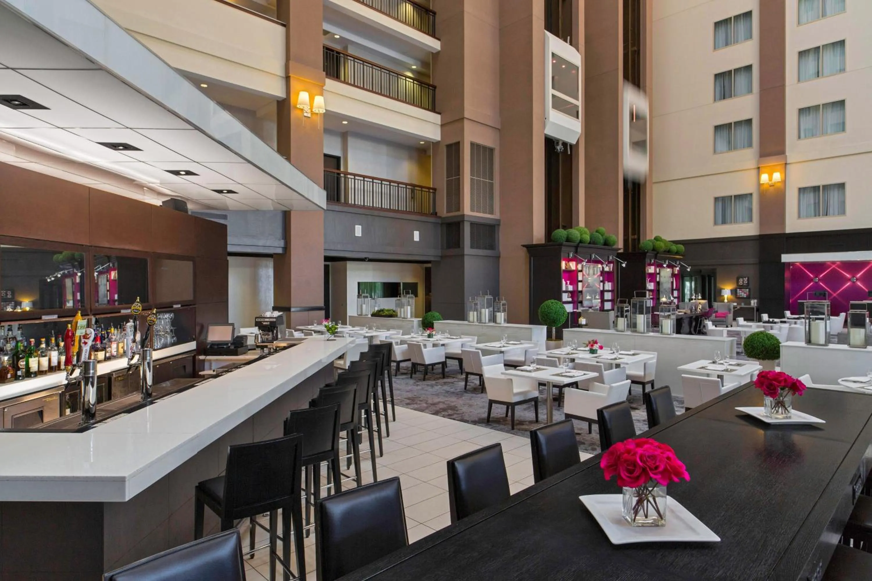 Restaurant/places to eat in Le Meridien Dallas by the Galleria