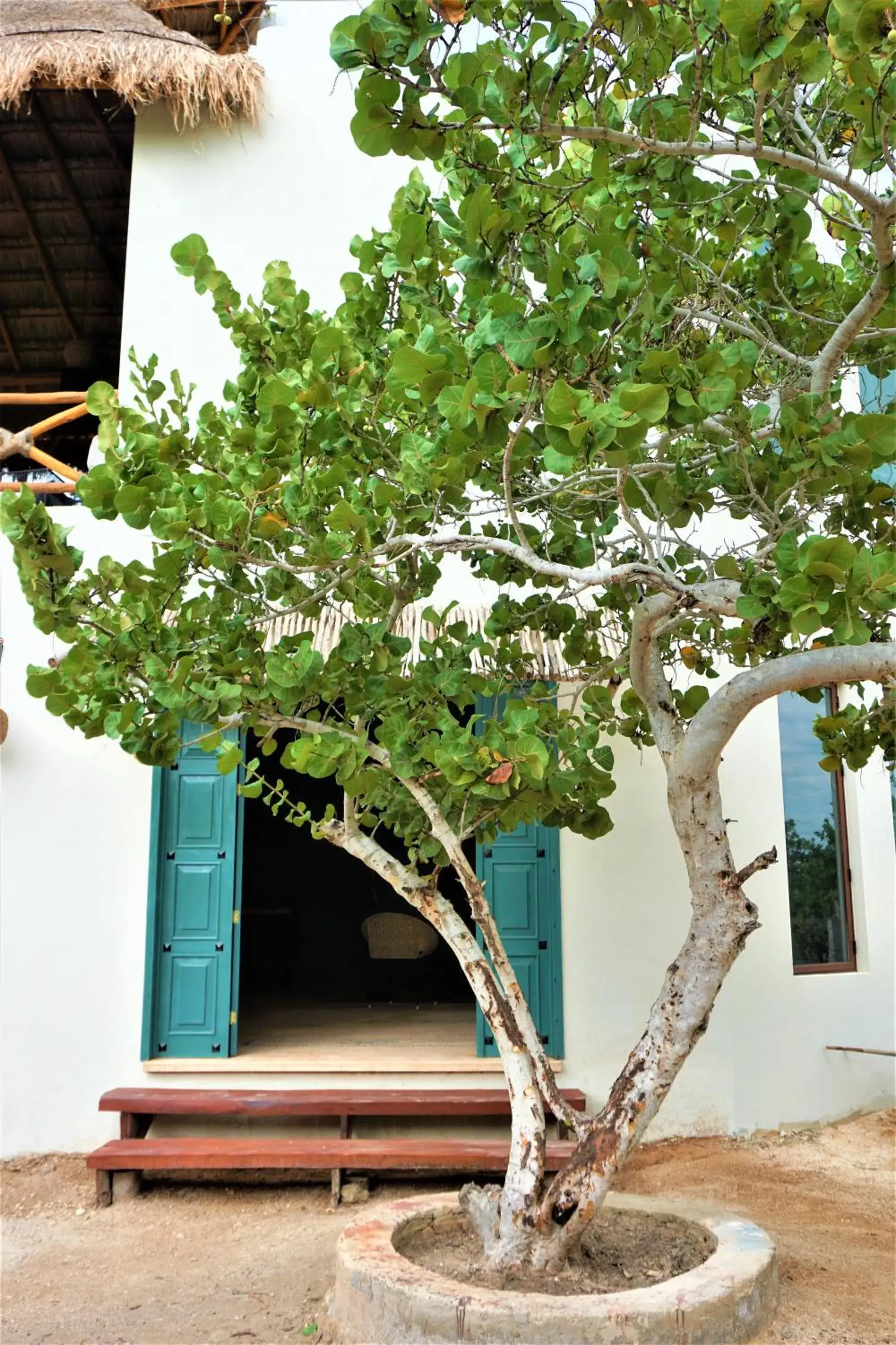 Property building in Hotel Boutique La Puerta Azul Beachfront - Adults Only Property building in Hotel Boutique La Puerta Azul Beachfront - Adults Only