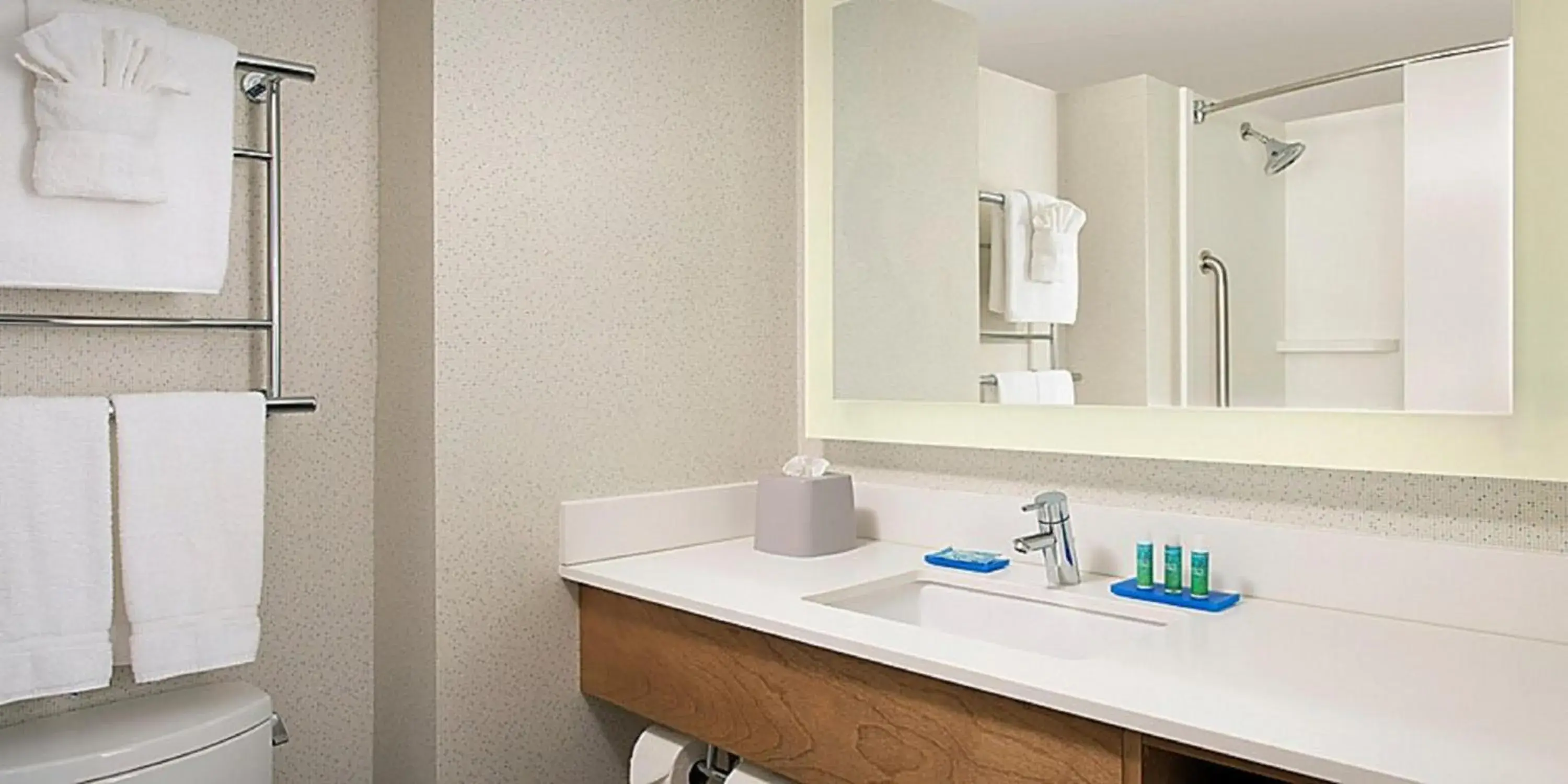 King Room - Mobility Access/Hearing Accessible in Holiday Inn Express Chesapeake - Norfolk by IHG King Room - Mobility Access/Hearing Accessible in Holiday Inn Express Chesapeake - Norfolk by IHG