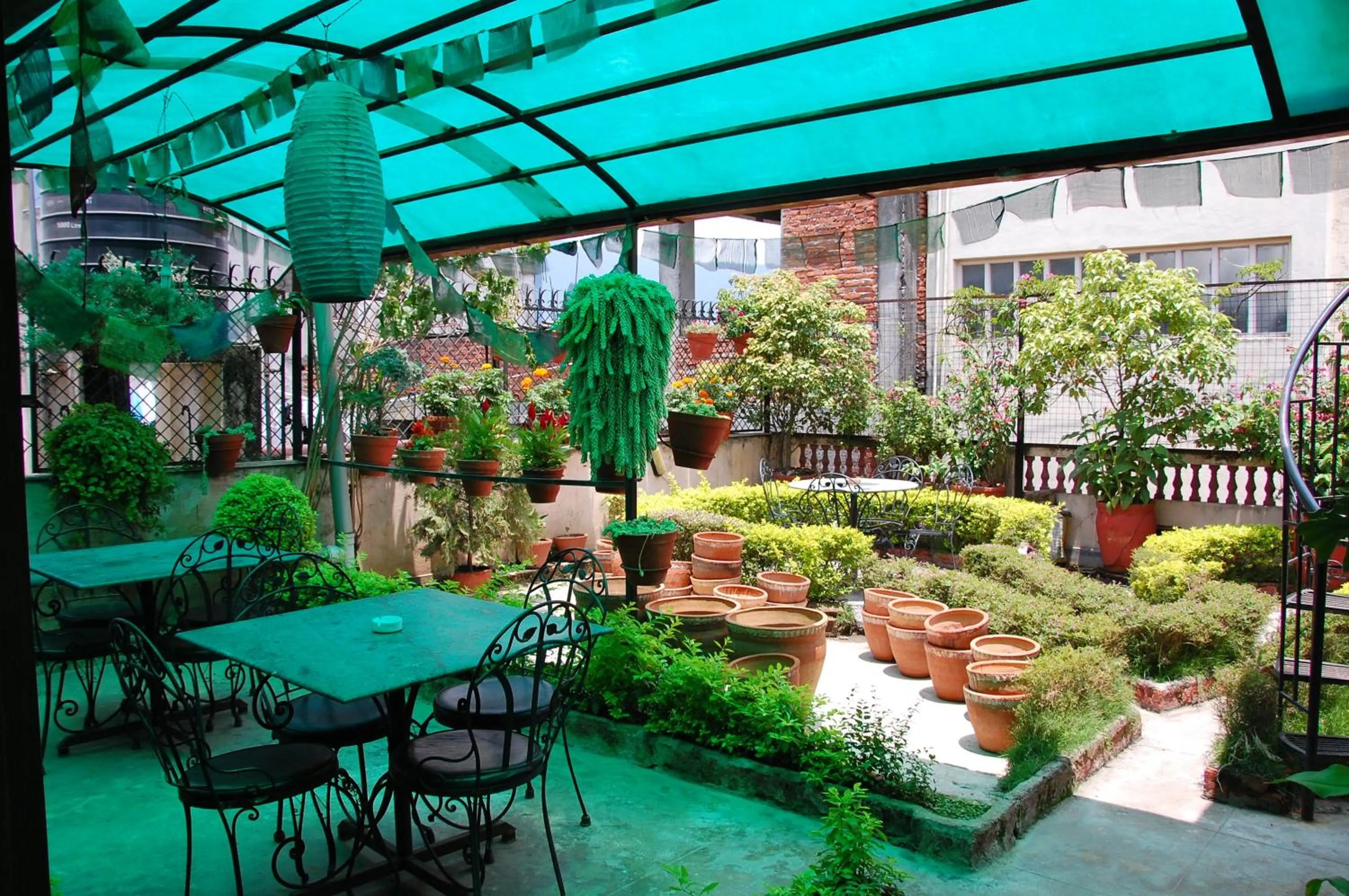 Restaurant/places to eat in Kathmandu Peace Guesthouse