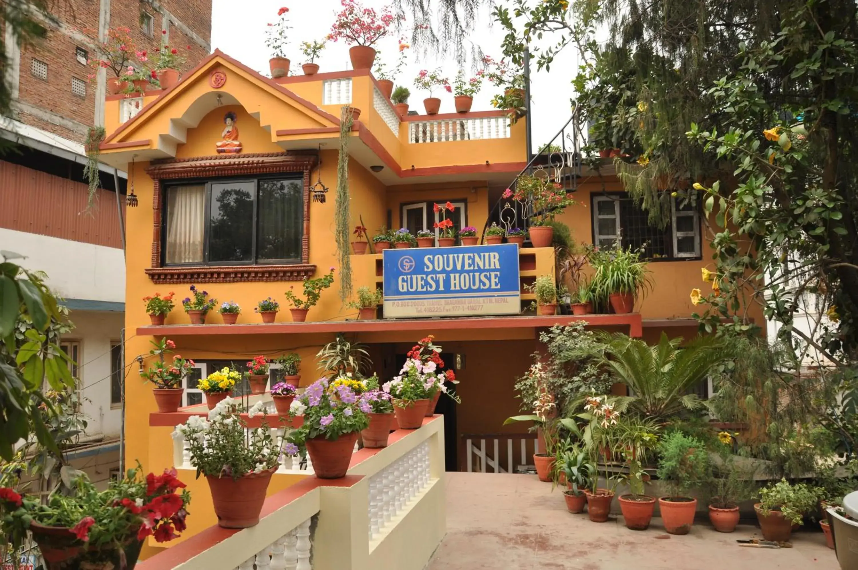 Souvenir Guest House Souvenir Guest House