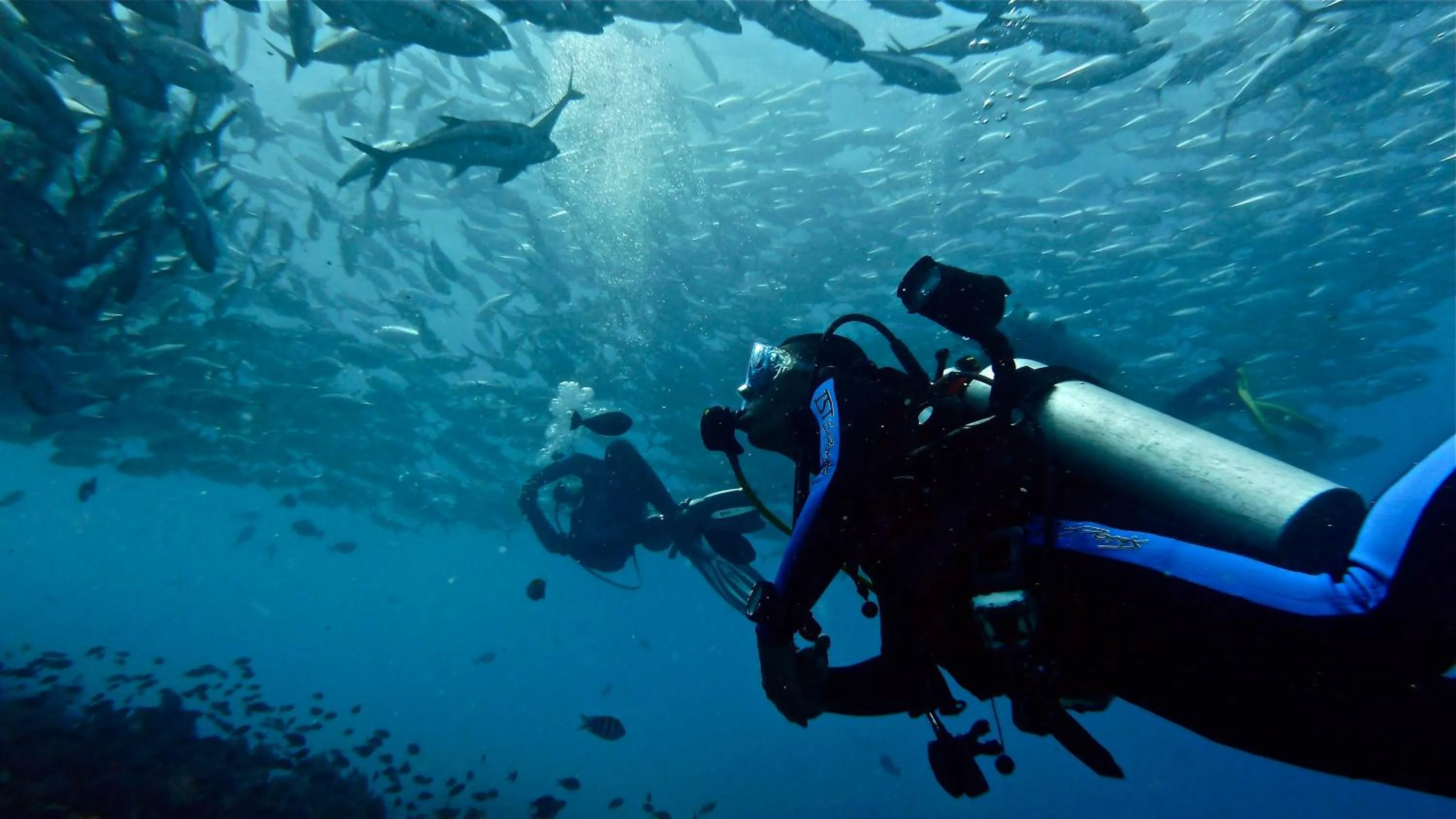 Diving in Alona Vida Beach Resort