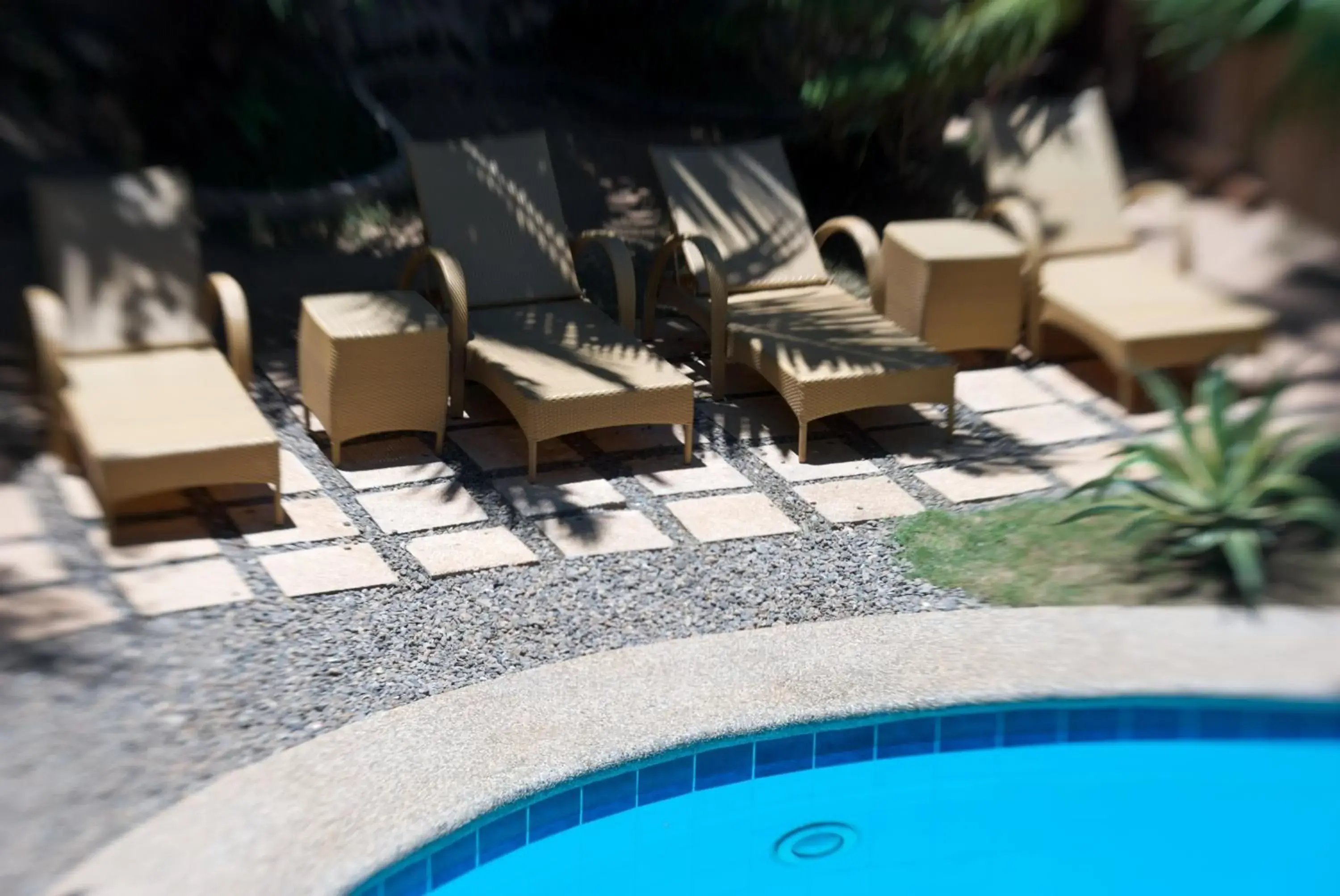 Swimming pool in Alona Vida Beach Resort Swimming pool in Alona Vida Beach Resort