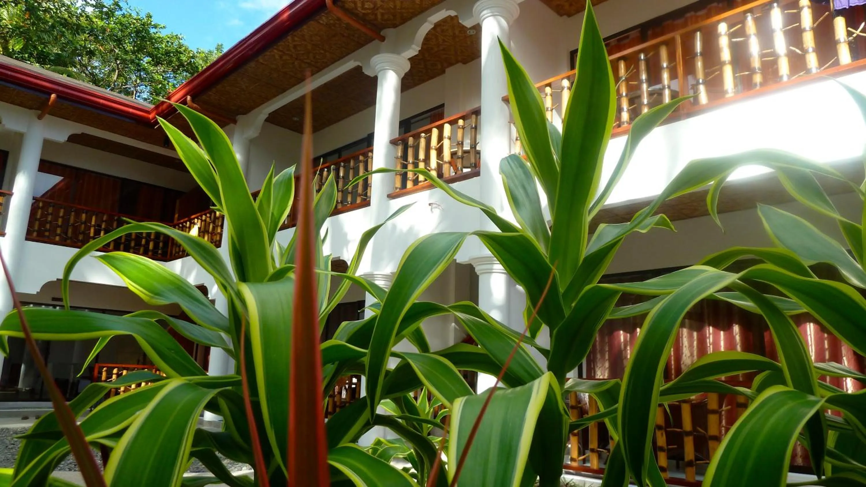 Facade/entrance in Alona Vida Beach Resort