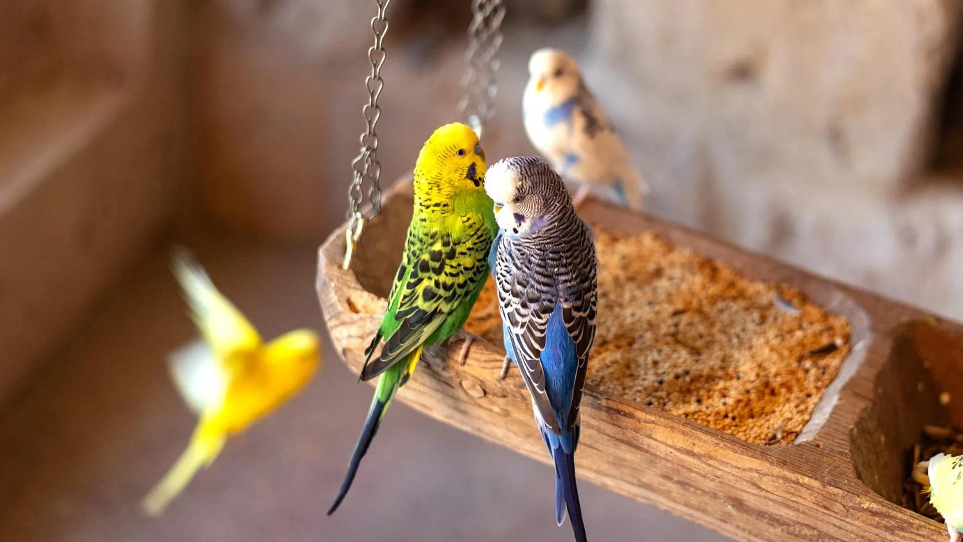 Activities in AJWA Cappadocia - Preferred Hotels Legend Collection