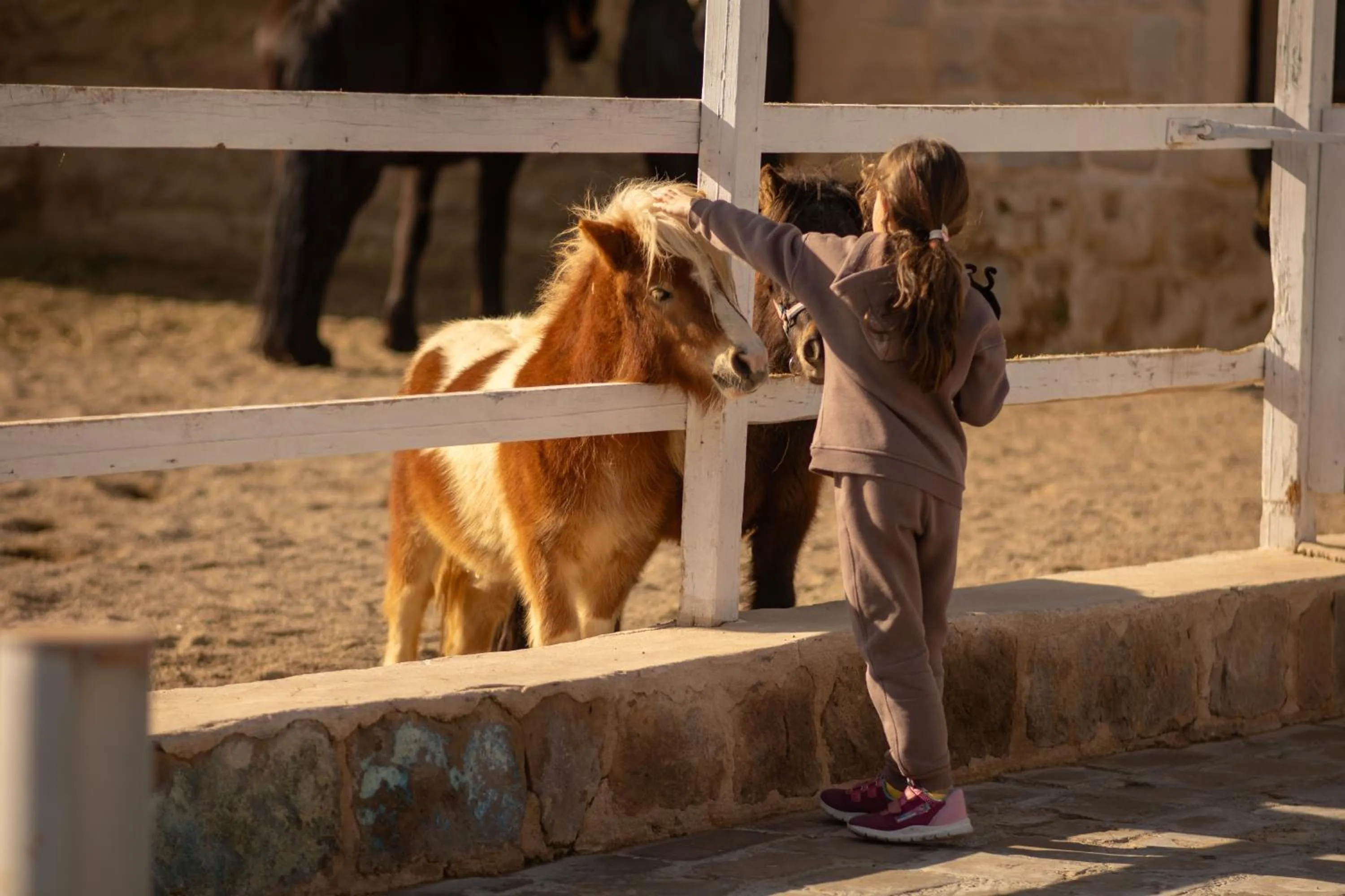 Garden in AJWA Cappadocia - Preferred Hotels Legend Collection