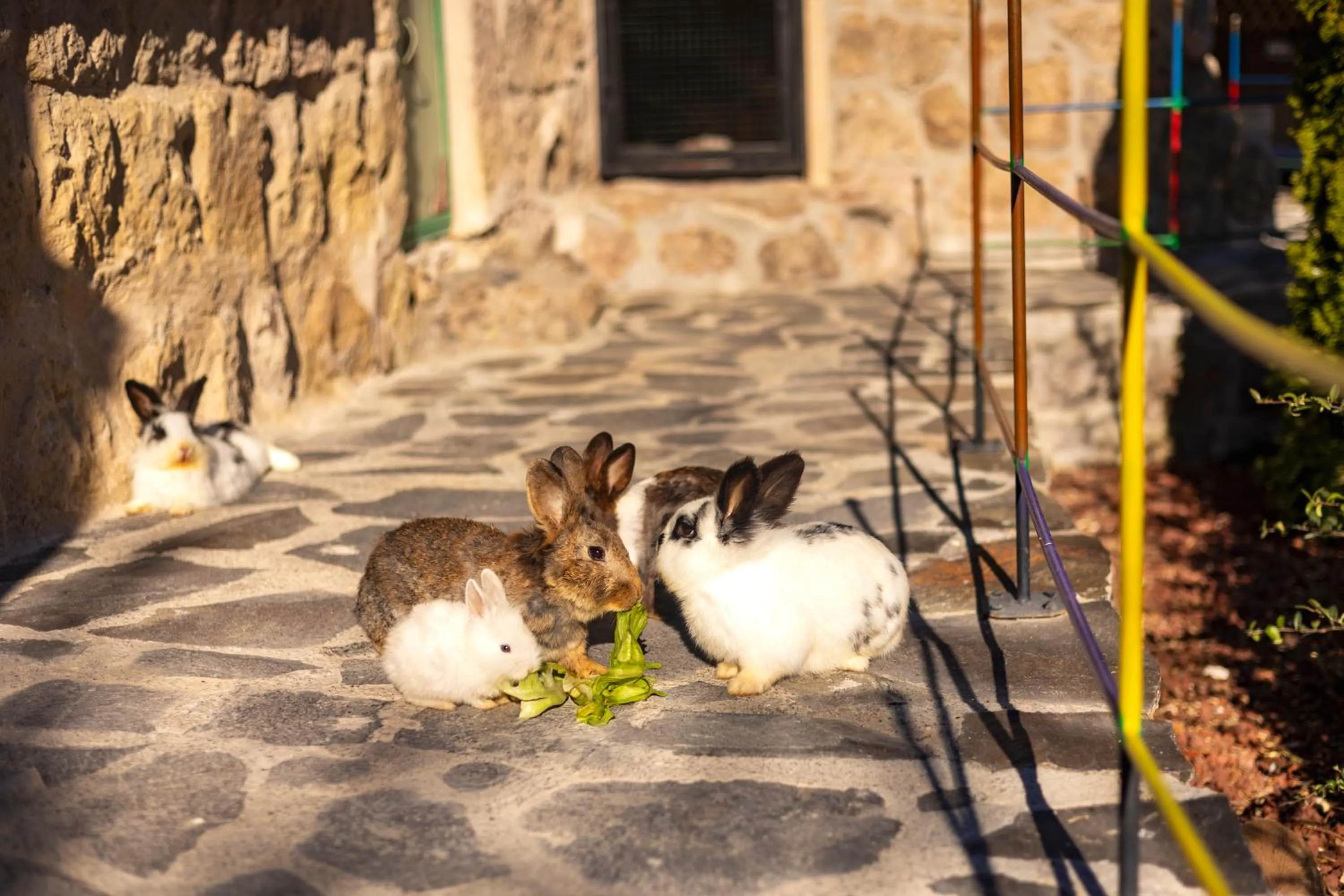 Activities in AJWA Cappadocia - Preferred Hotels Legend Collection