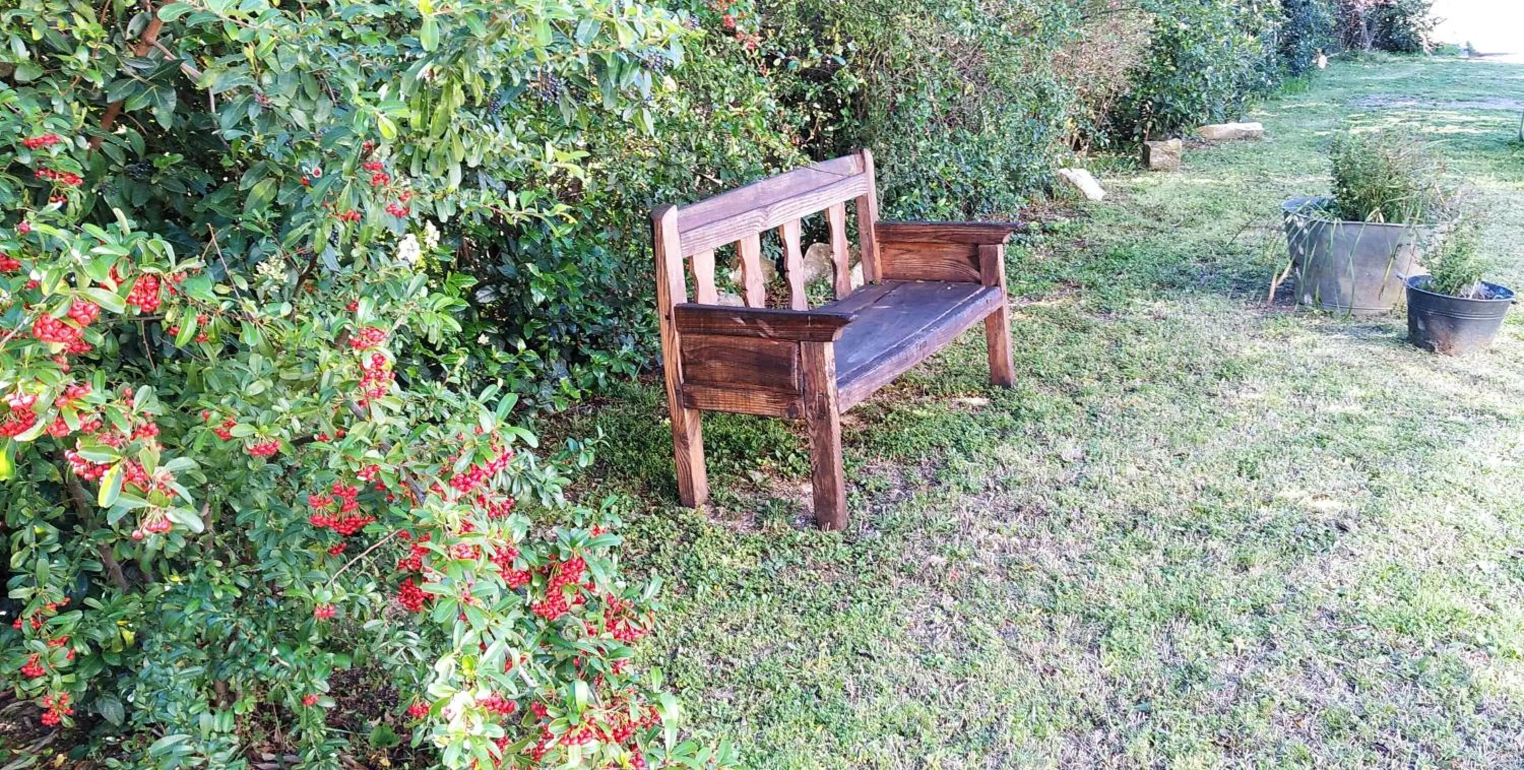 Garden in L'Esperluette en Camargue