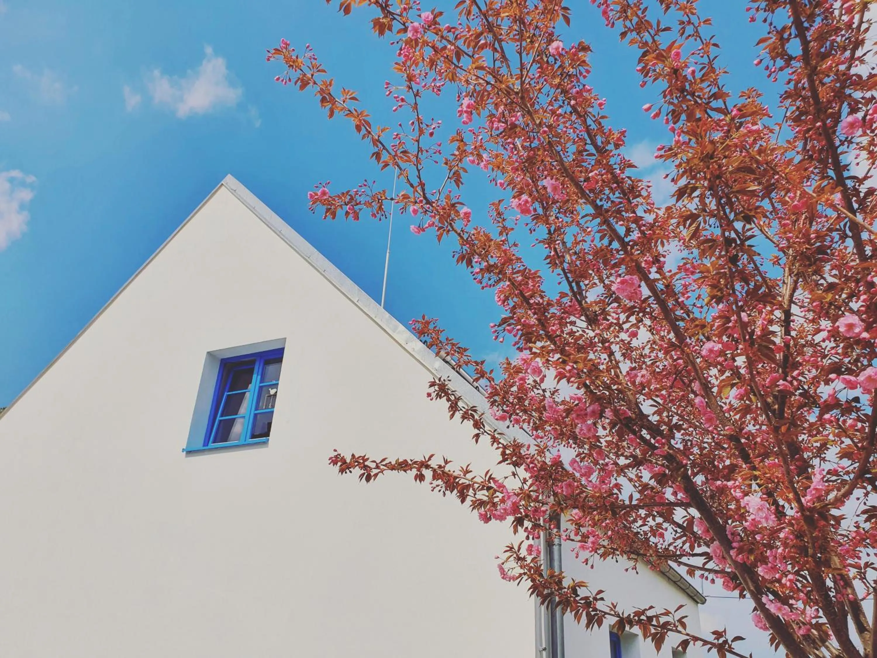 Property building in Sousedi Pavlov