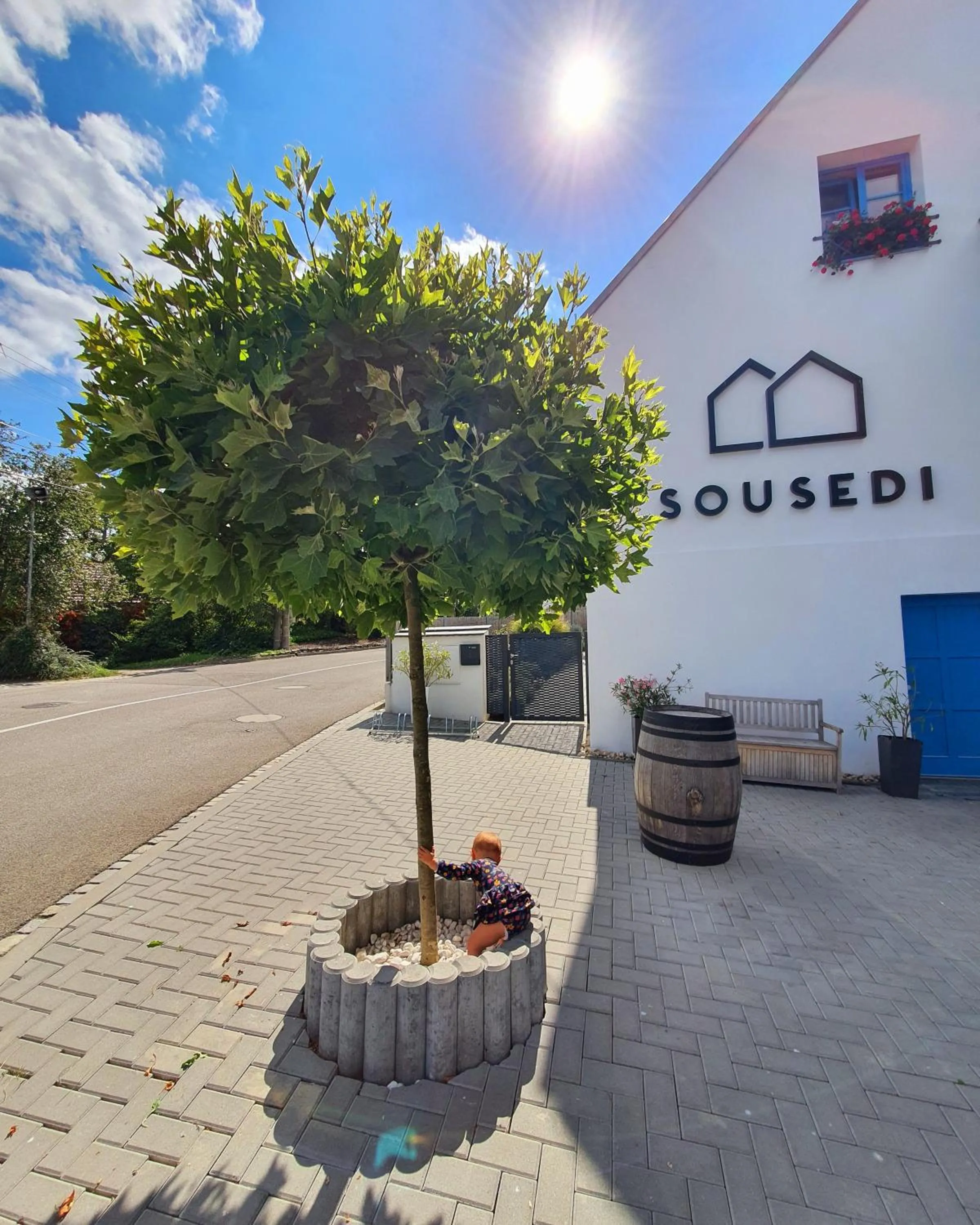 Property building in Sousedi Pavlov