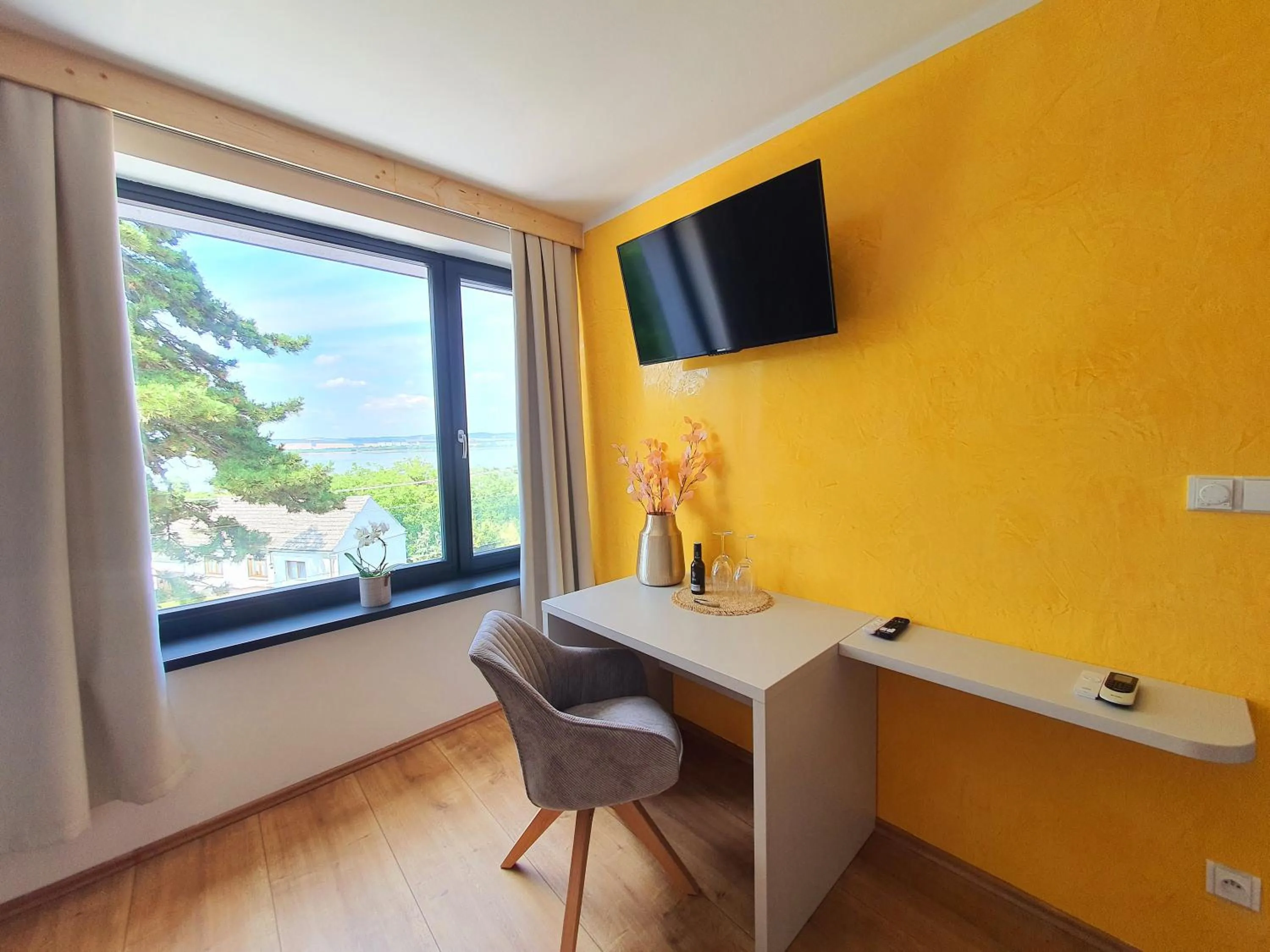 TV and multimedia in Sousedi Pavlov