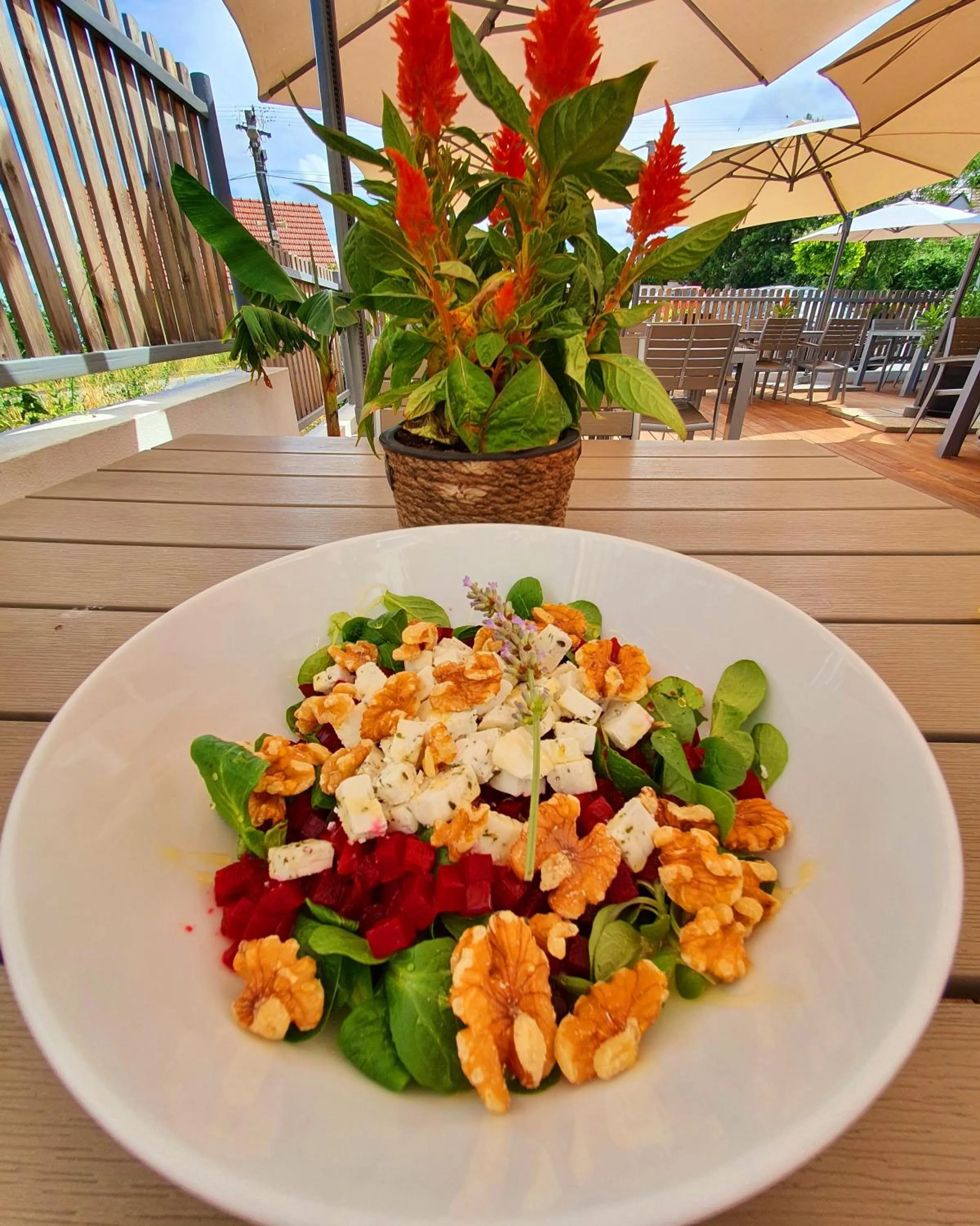 Food in Sousedi Pavlov