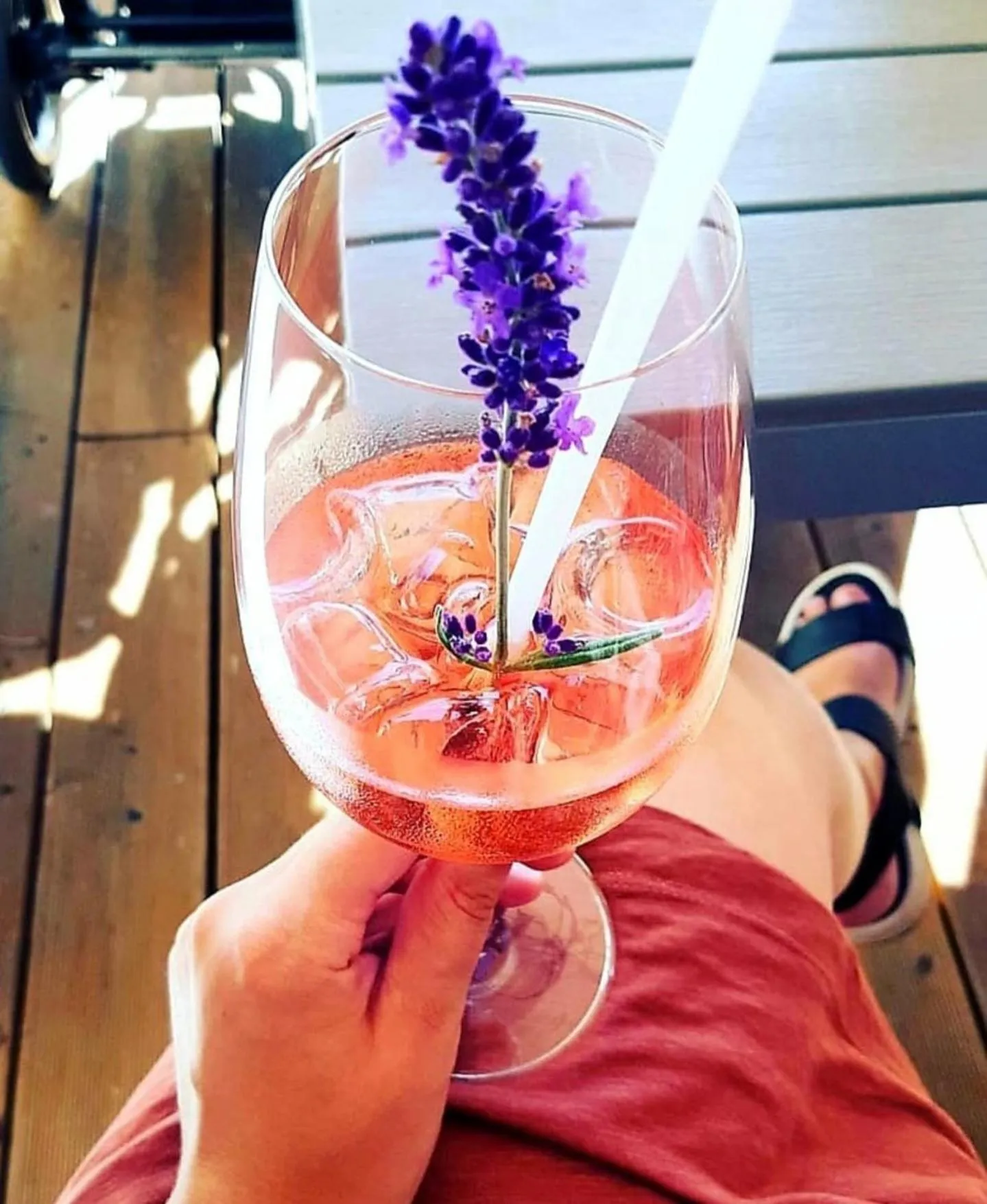 Drinks in Sousedi Pavlov