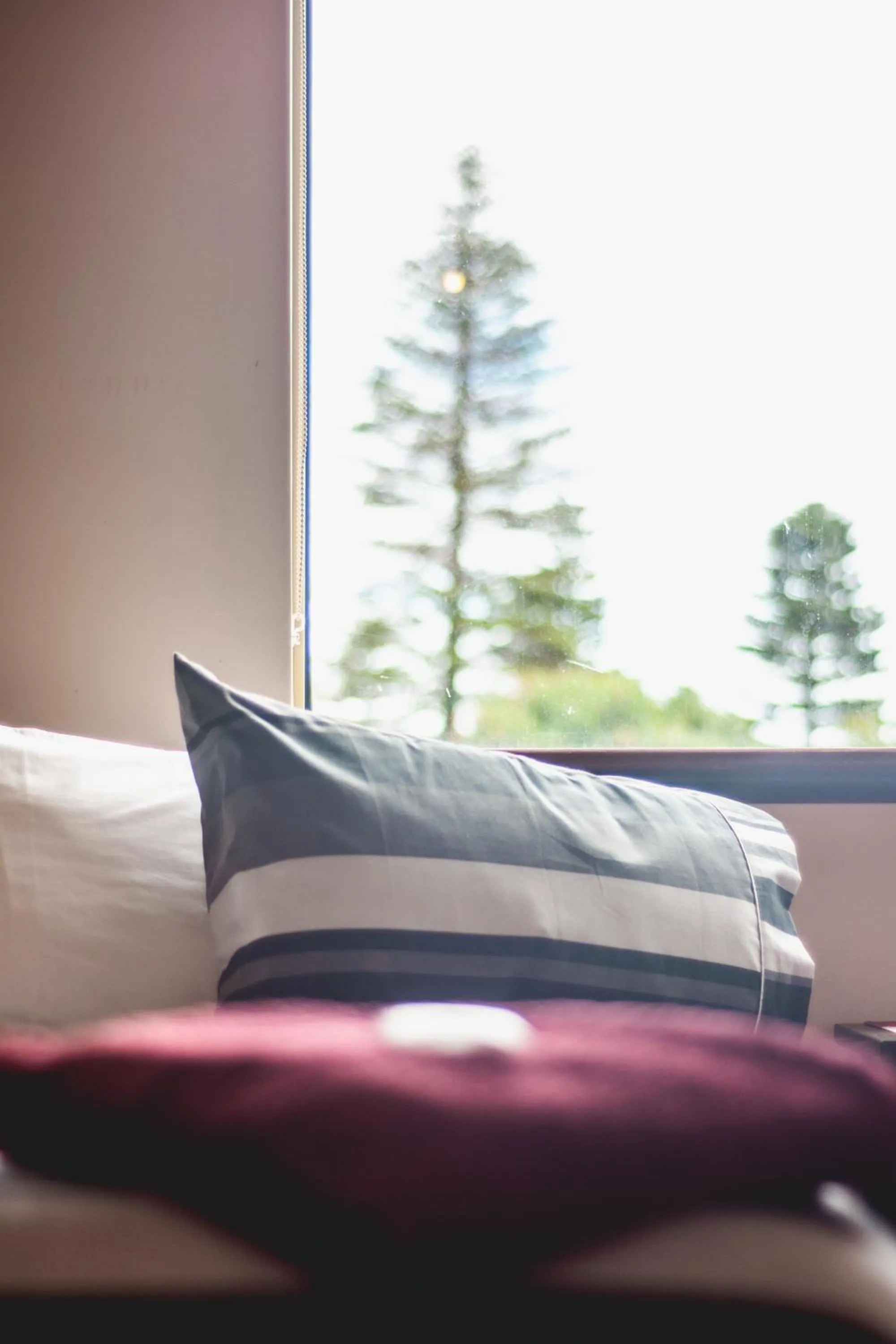 Bed in Esperance Foreshore Apartments