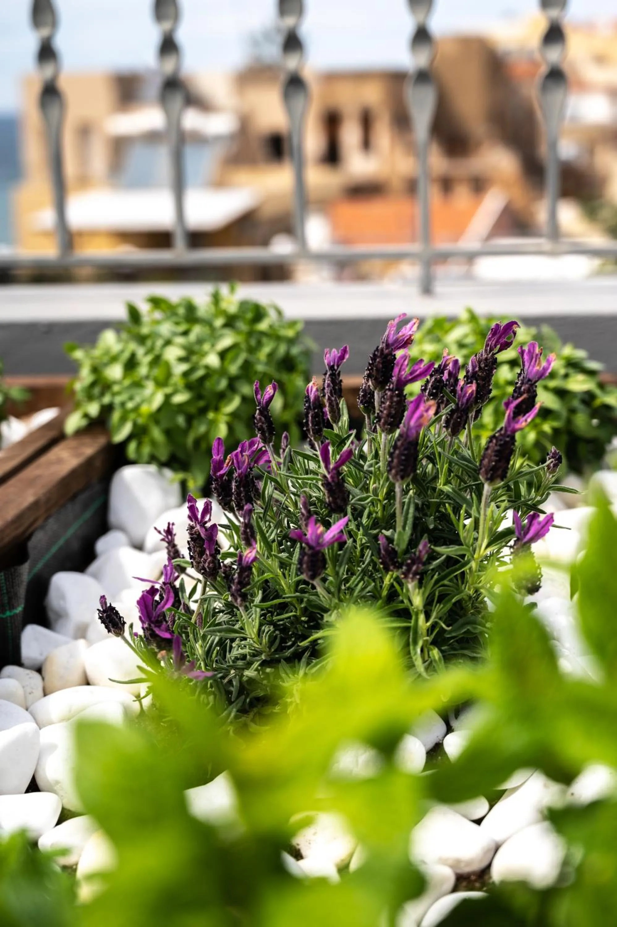 Hanim Boutique Hotel