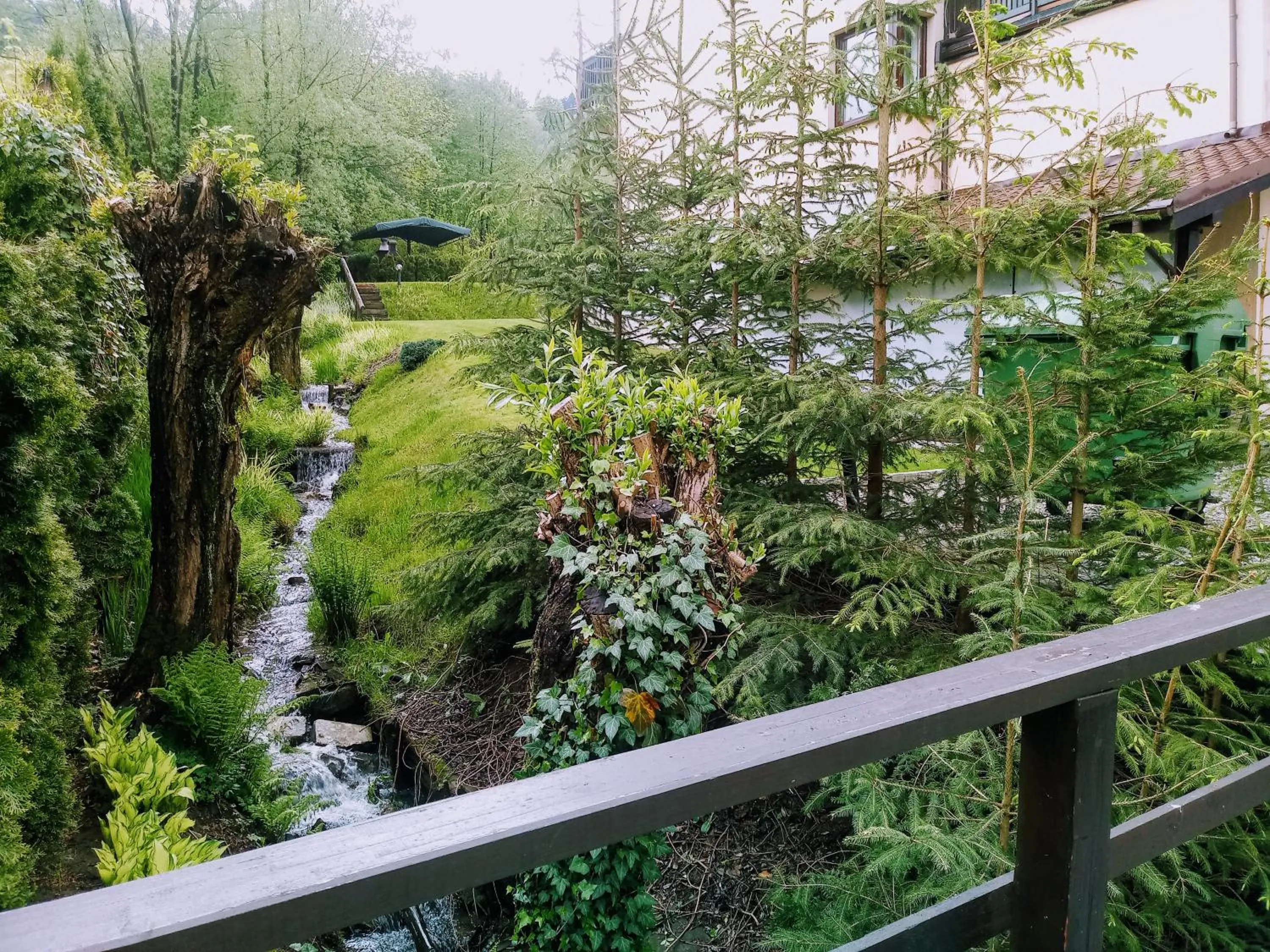 Spring in Gajówka&Vita Pokoje Gościnne