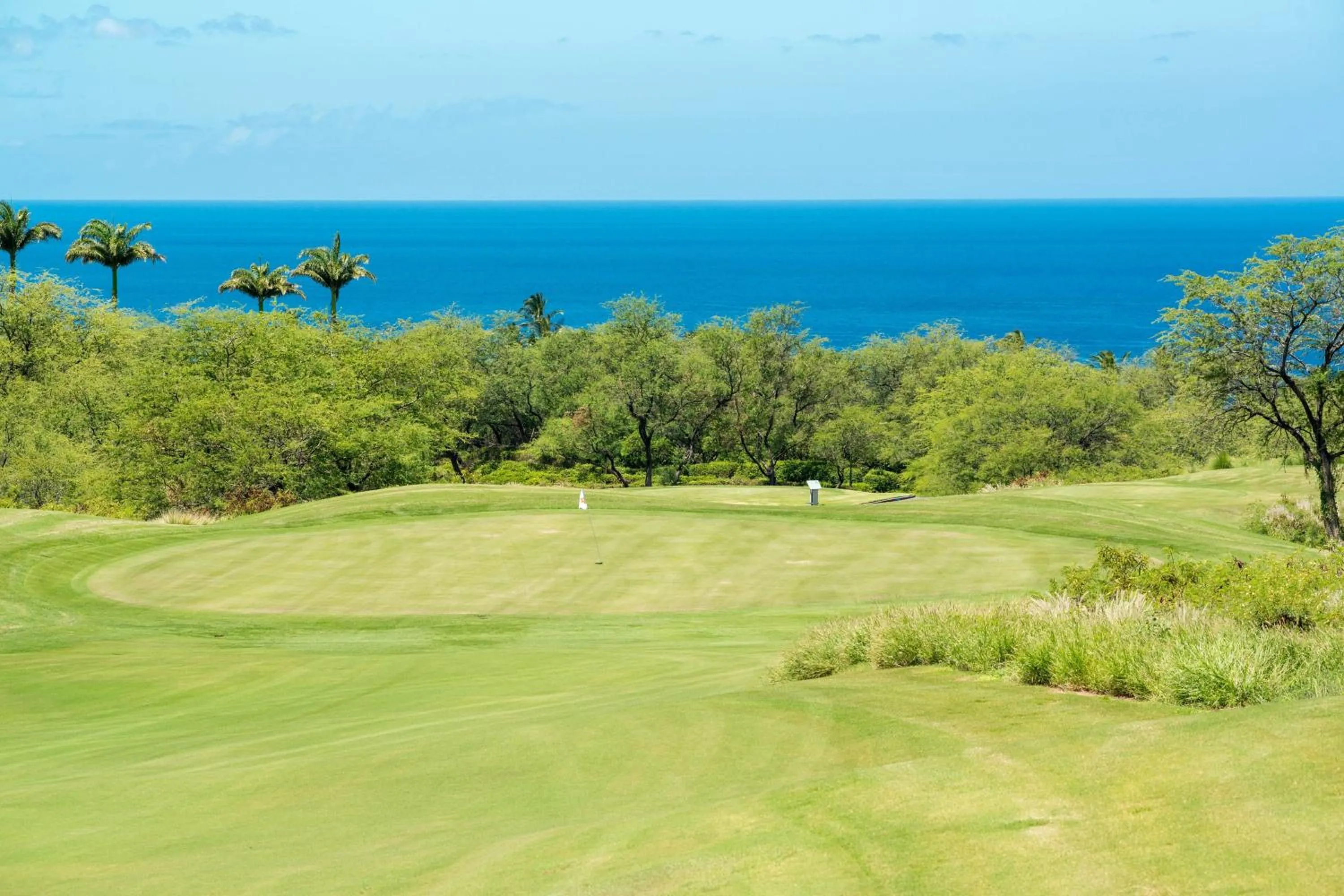 Other in The Westin Hapuna Beach Resort