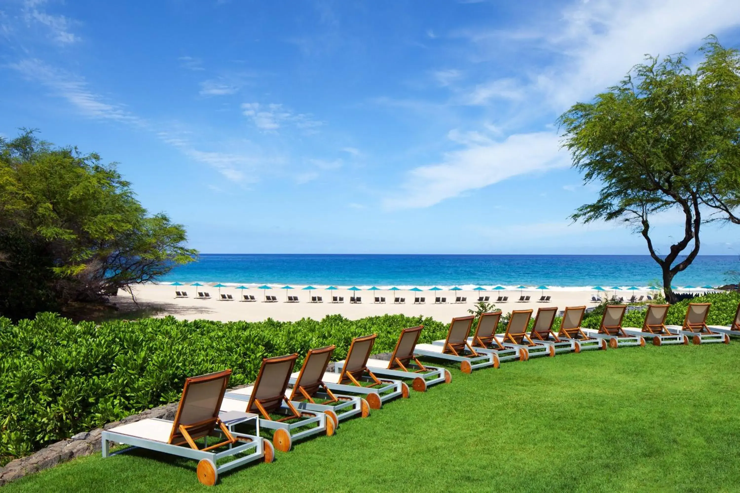 Lounge or bar in The Westin Hapuna Beach Resort Lounge or bar in The Westin Hapuna Beach Resort
