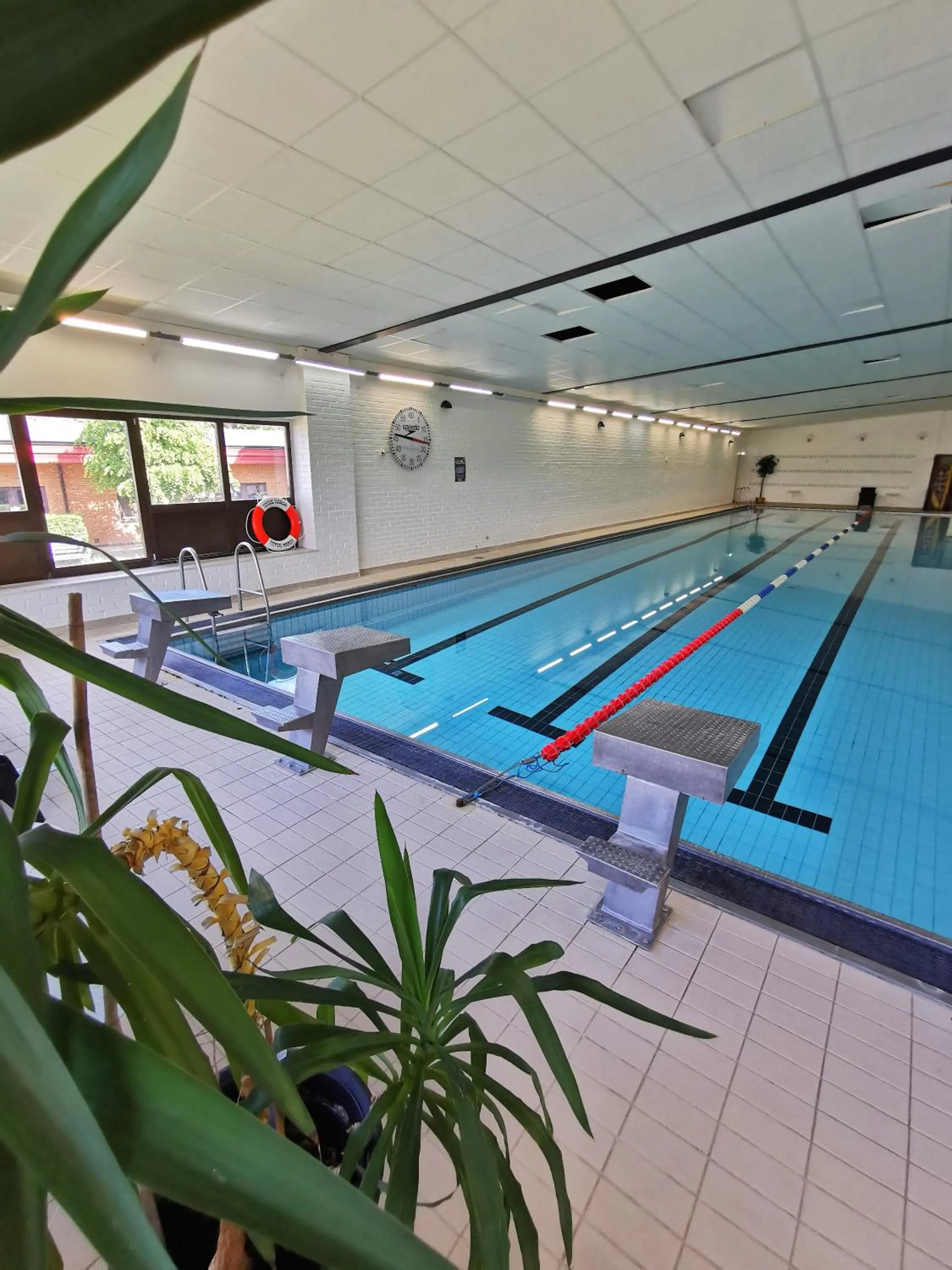 Swimming pool in Green Door Hotel