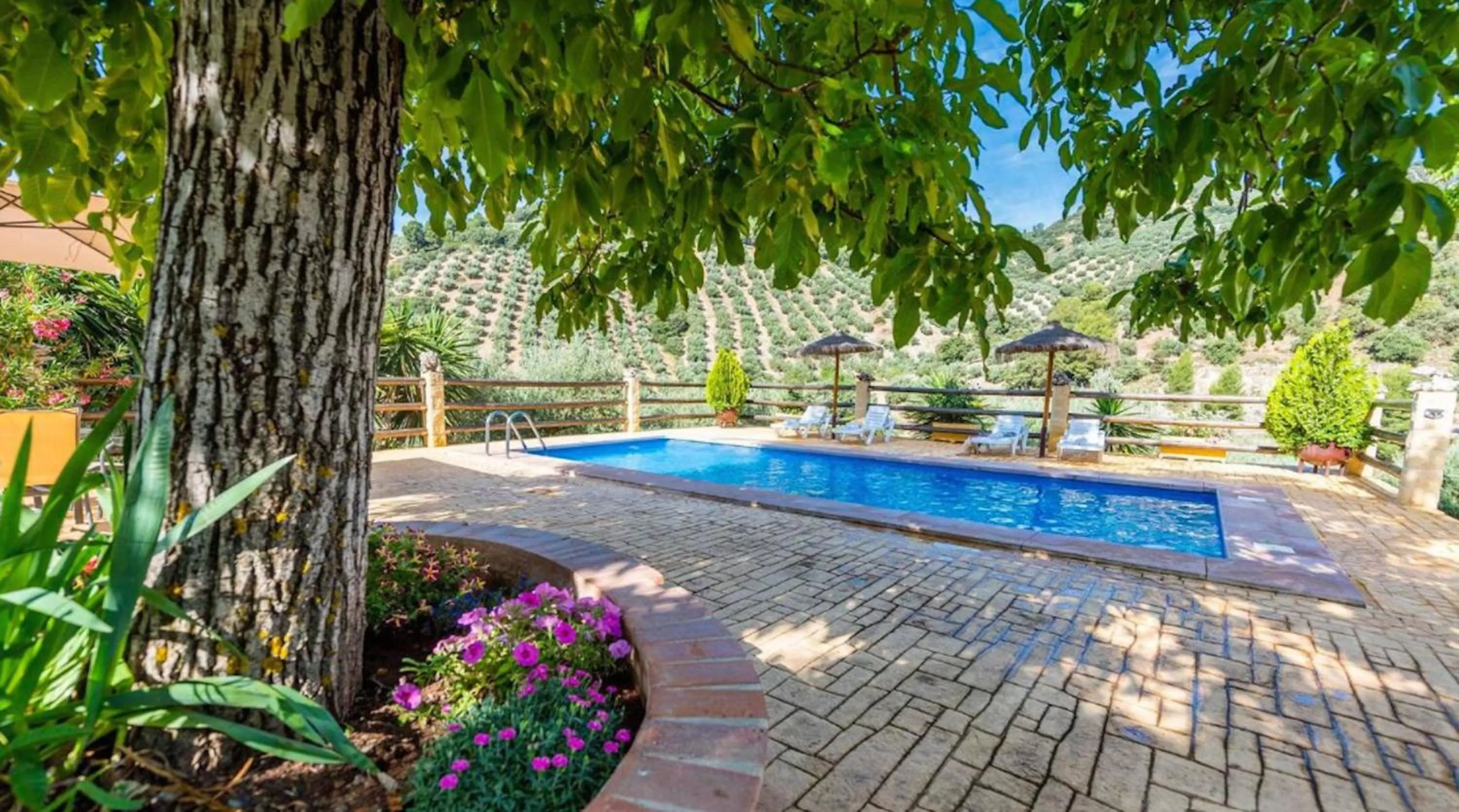 Pool view in Charming Villa in Montefrío with Private Pool