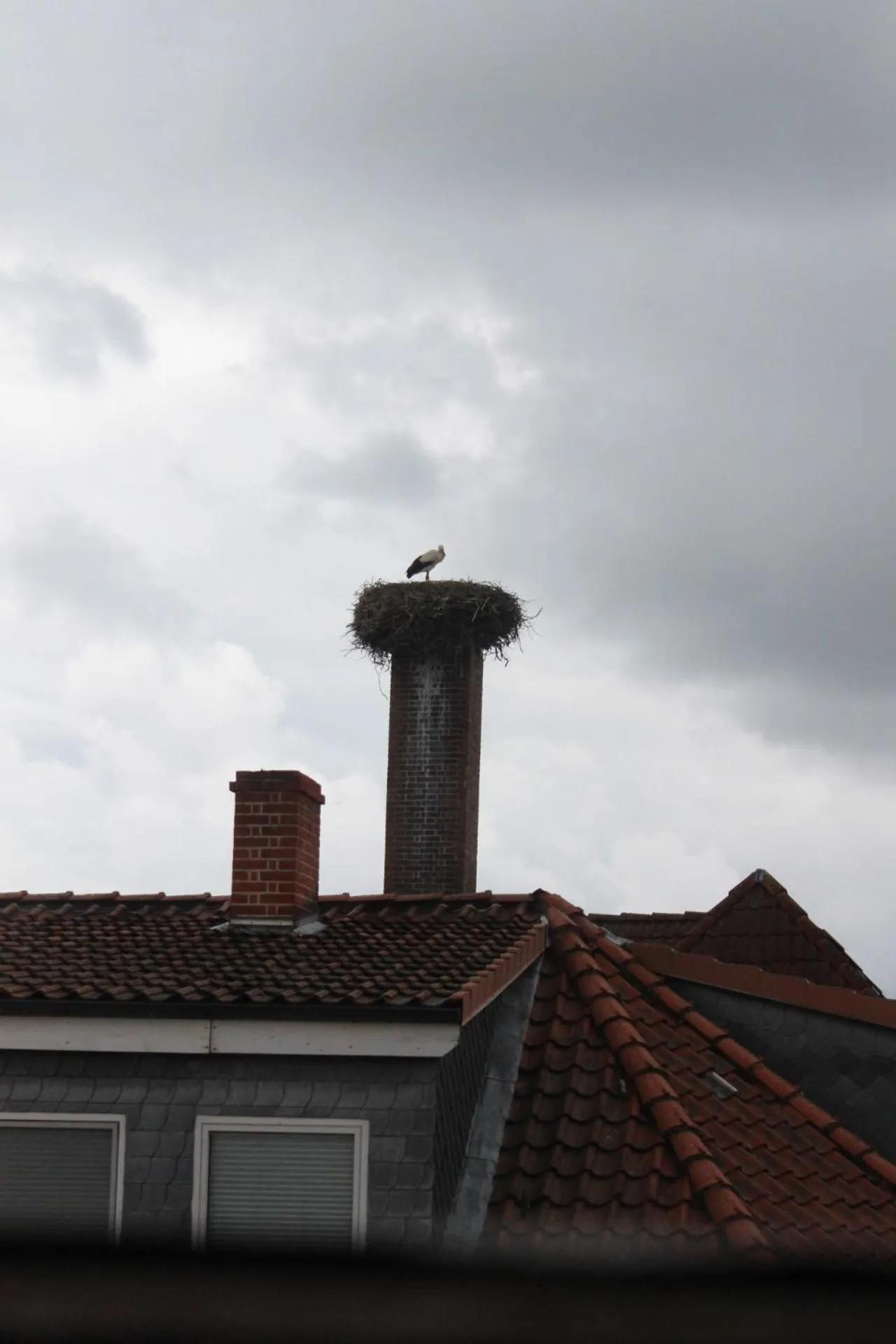 Decorative detail in Hotel Ceteno