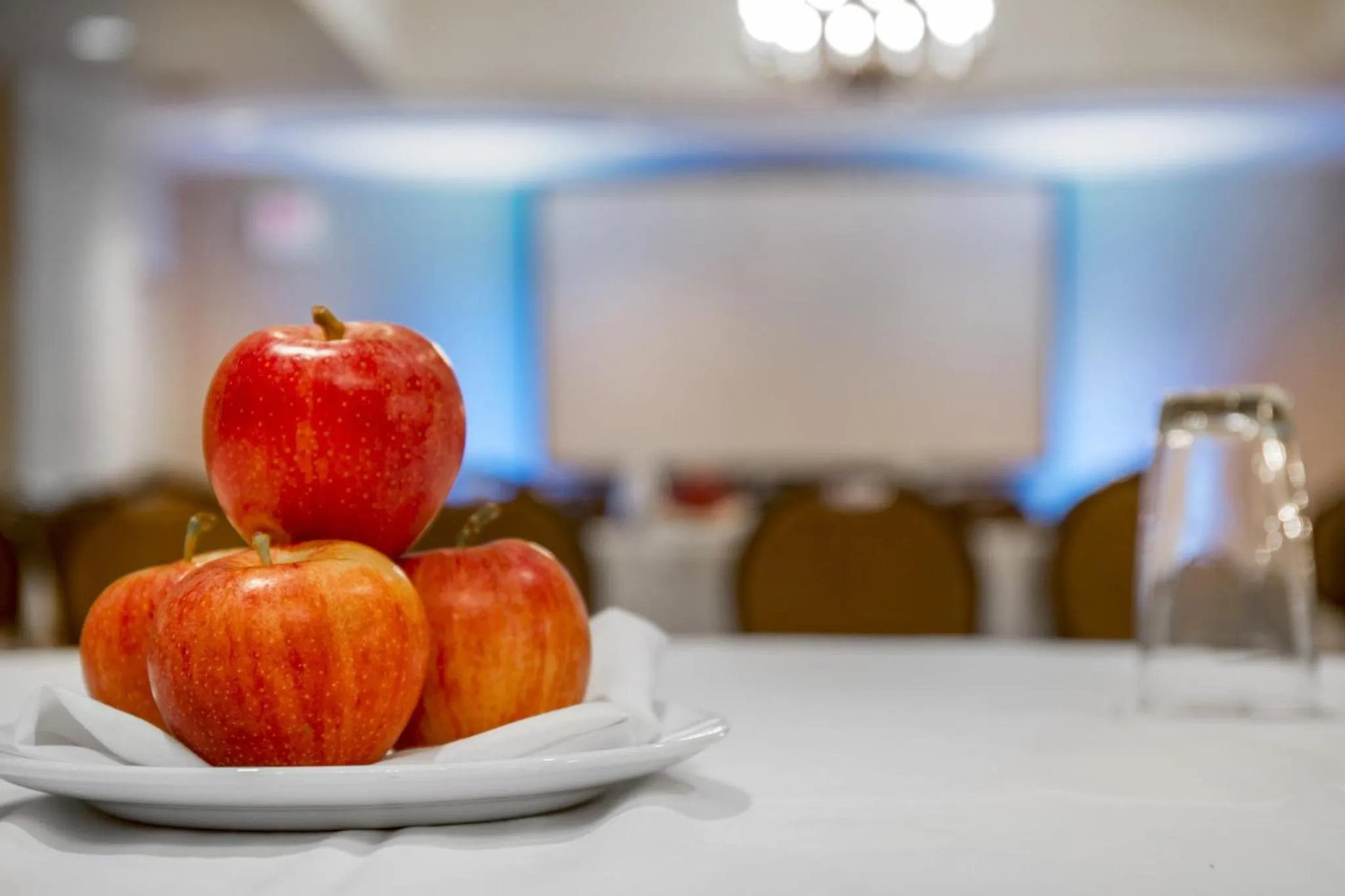 Banquet/Function facilities in Omni New Haven Hotel at Yale