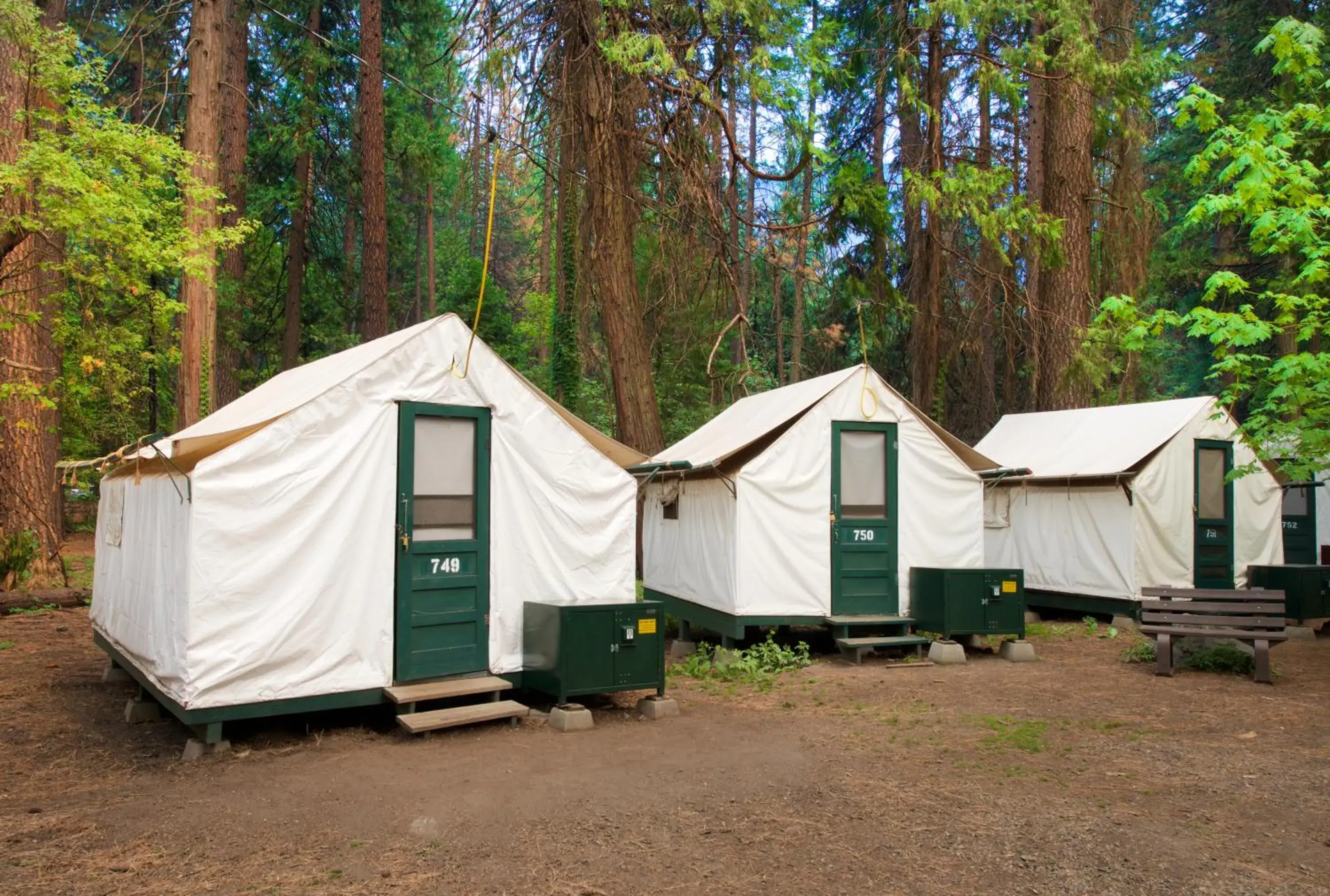 Property building in Curry Village Property building in Curry Village