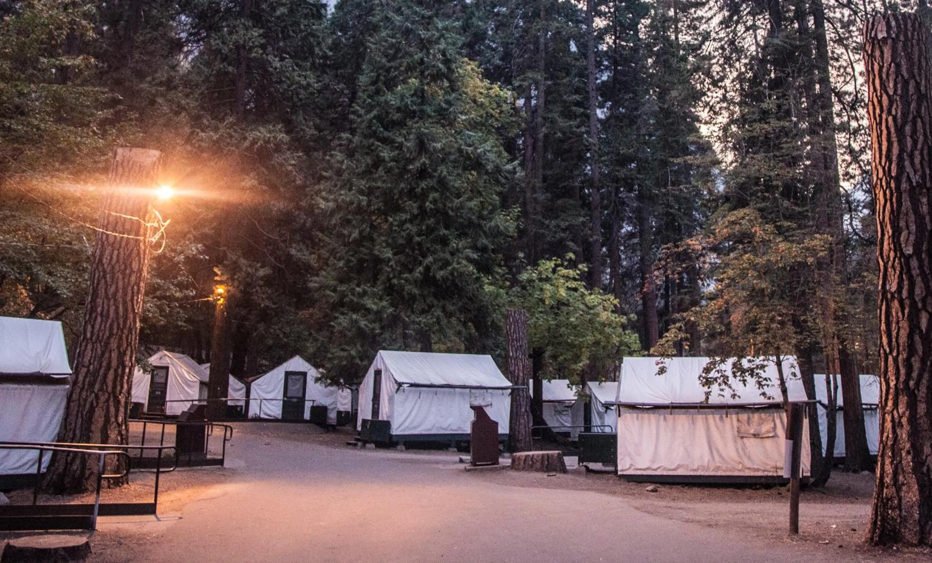 Day in Curry Village