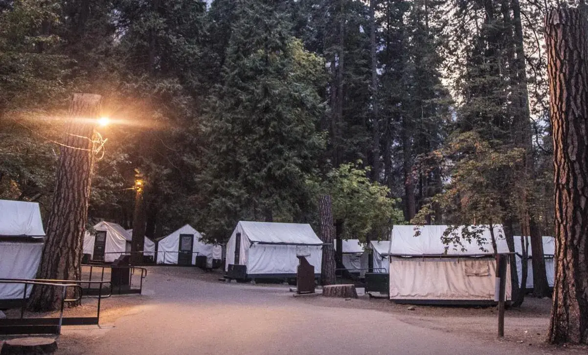 Heated Tent - 1D + 2S in Curry Village Heated Tent - 1D + 2S in Curry Village