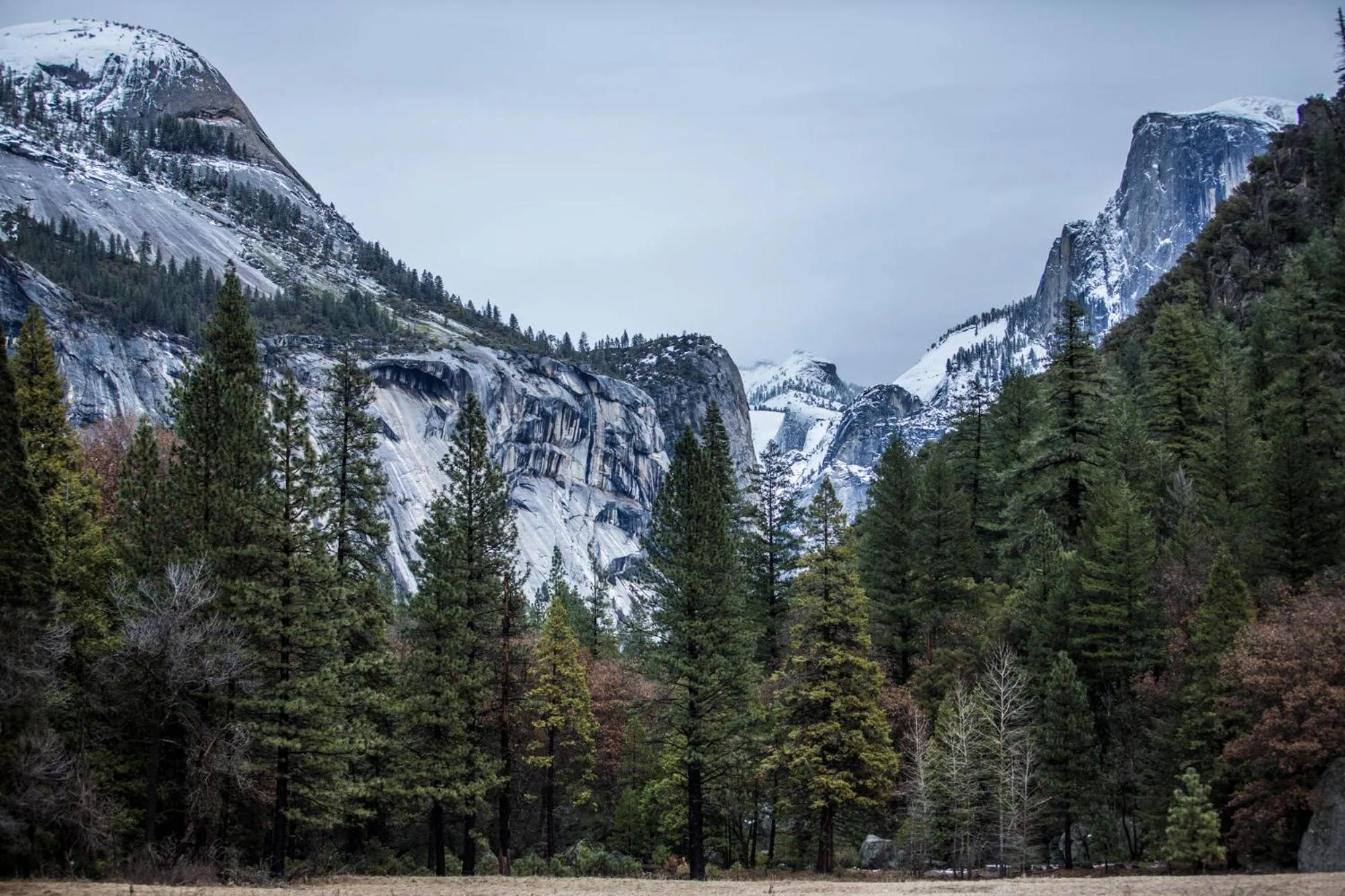Natural landscape in Curry Village