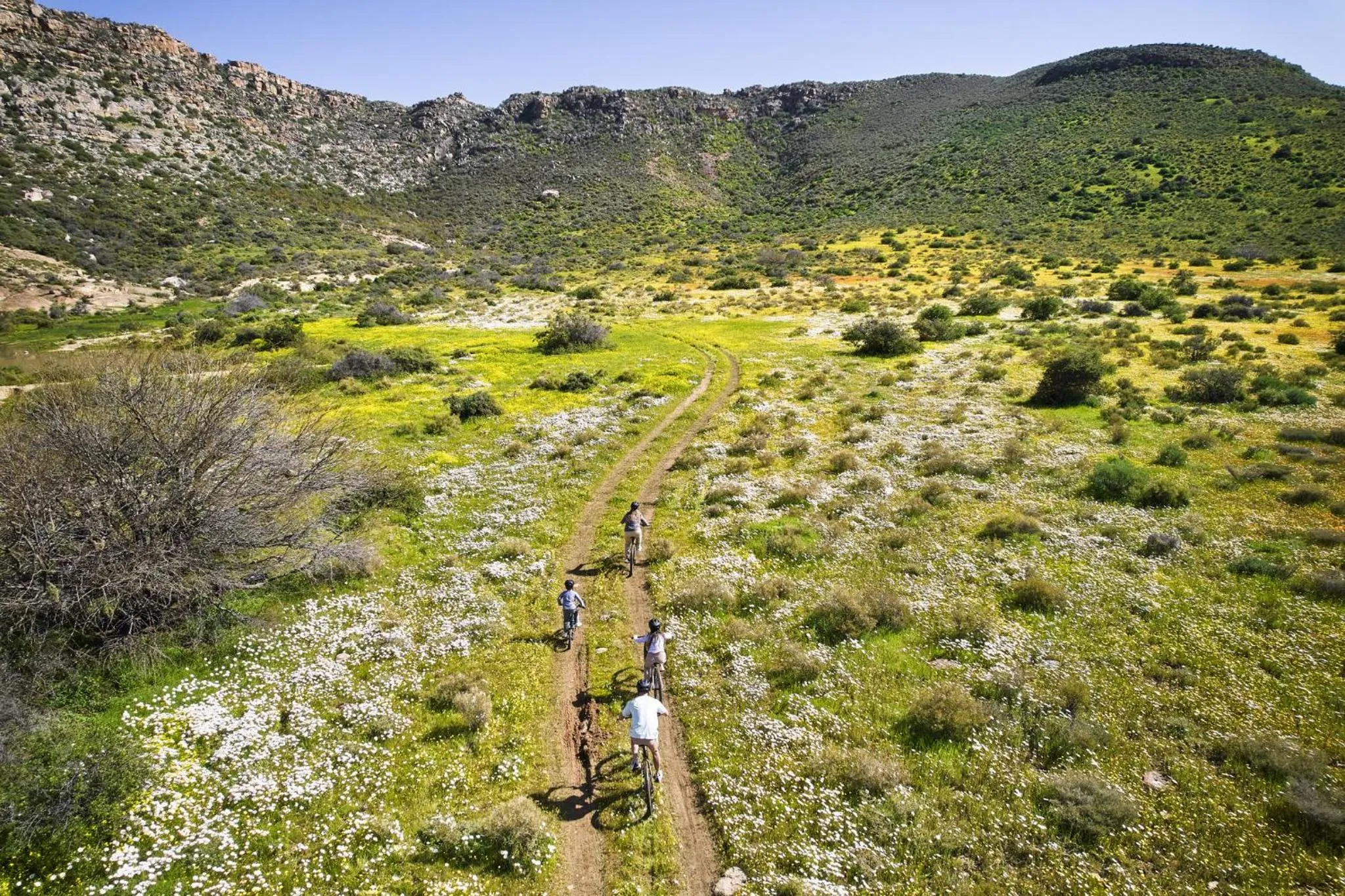 Cycling in Bushmans Kloof Wilderness Reserve and Wellness Retreat
