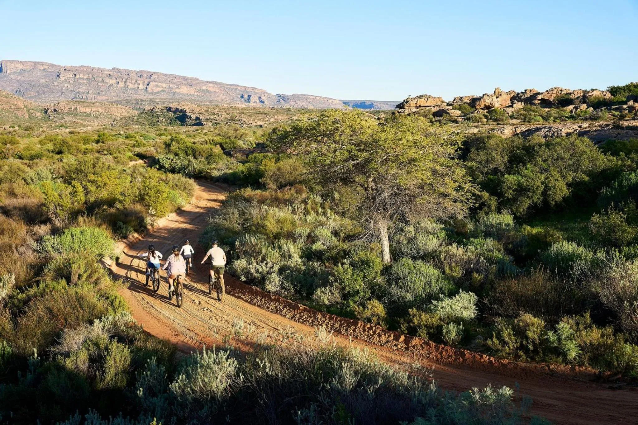 Cycling in Bushmans Kloof Wilderness Reserve and Wellness Retreat