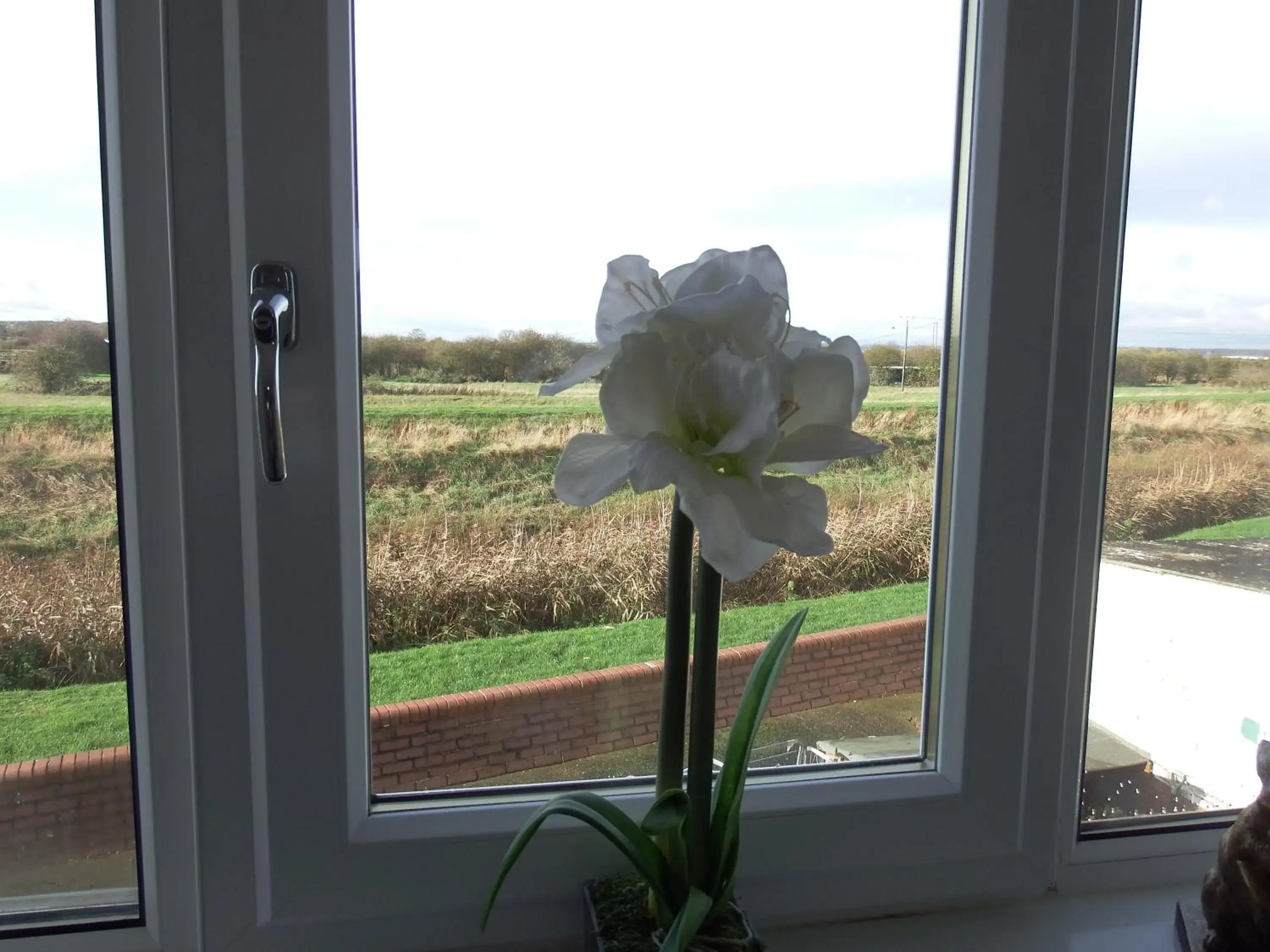 Double Room - single occupancy in The Haven Inn Limited Double Room - single occupancy in The Haven Inn Limited