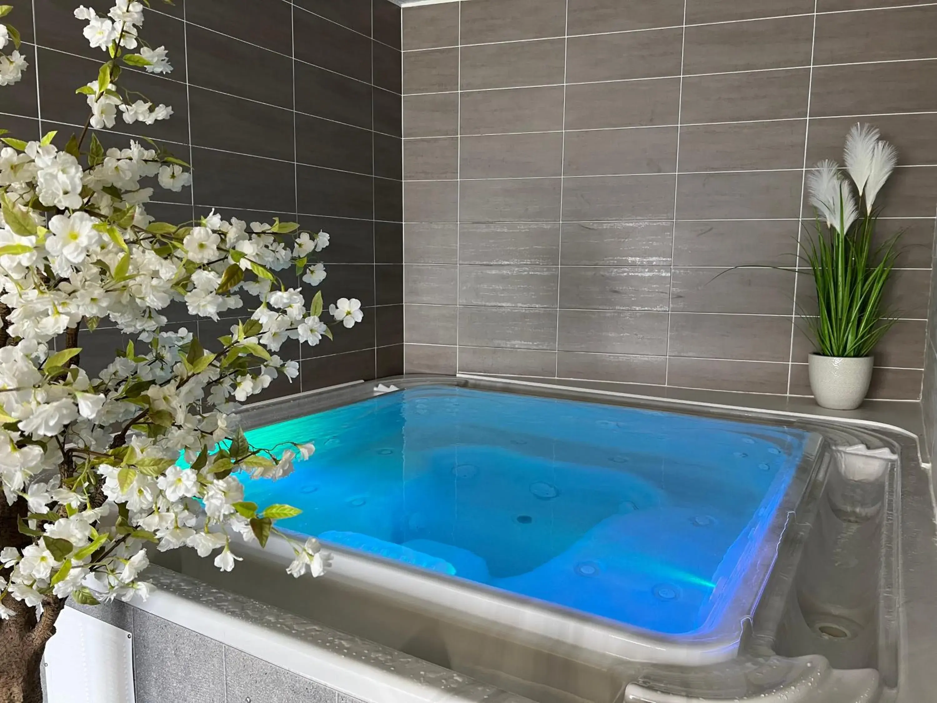 Hot Tub in Hôtel Calme Des Pins & Spa Hot Tub in Hôtel Calme Des Pins & Spa