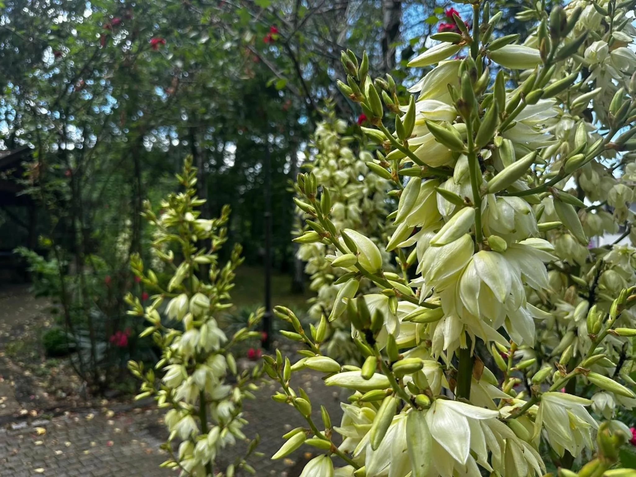 Spring in Hotel Dudek