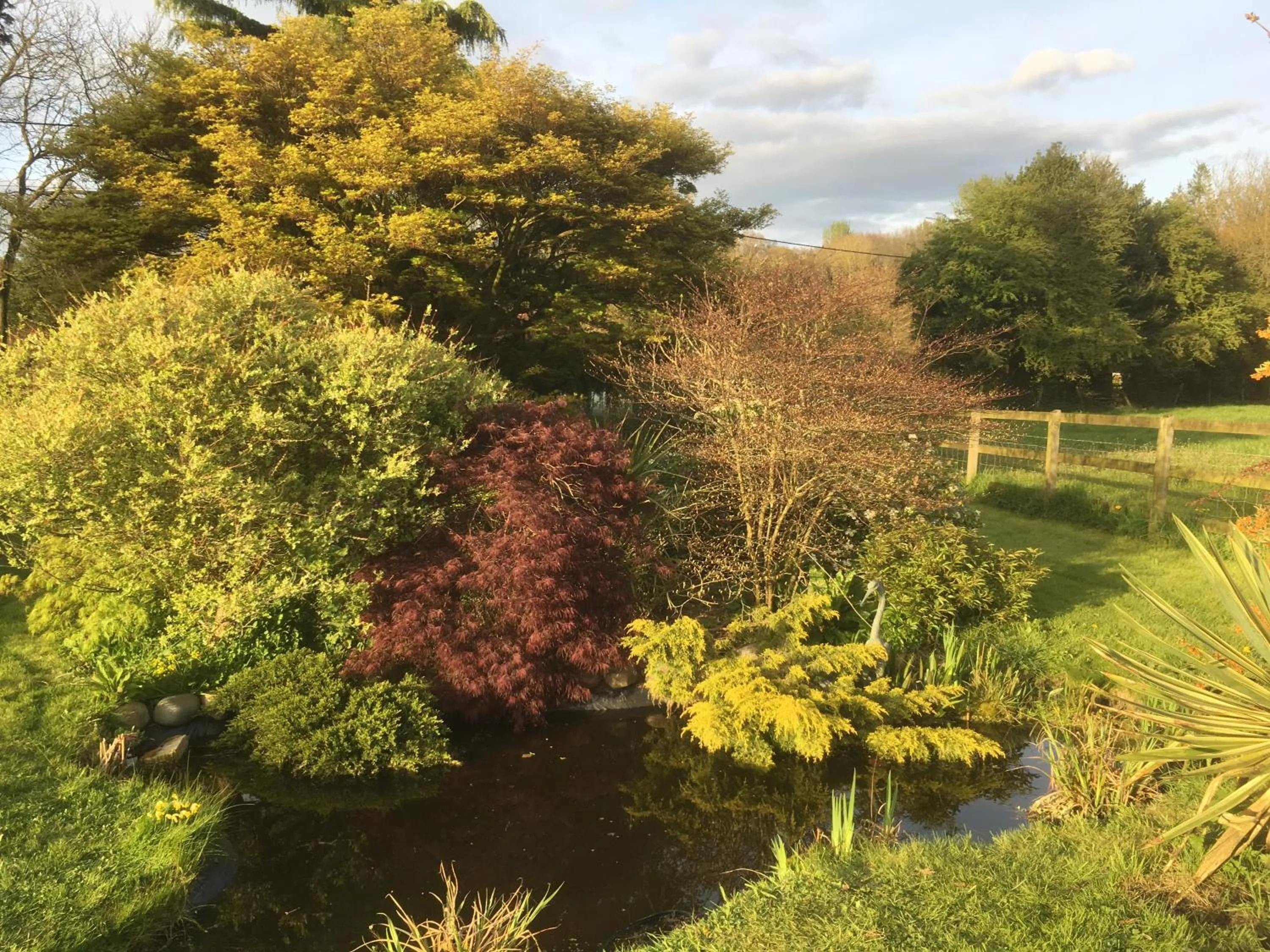 Woodlands Cottage Farm