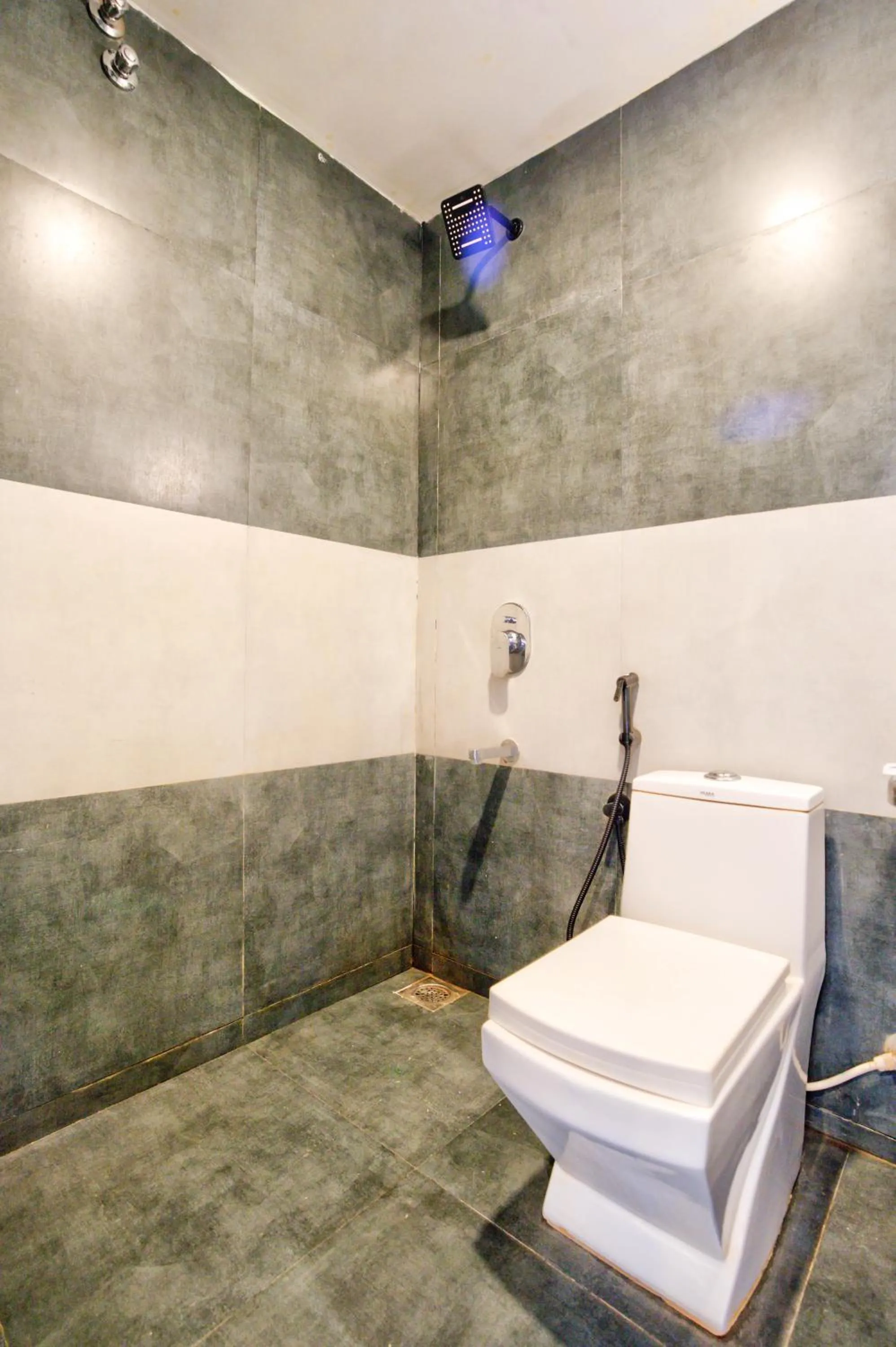 Toilet in Hotel Vaggi's Place