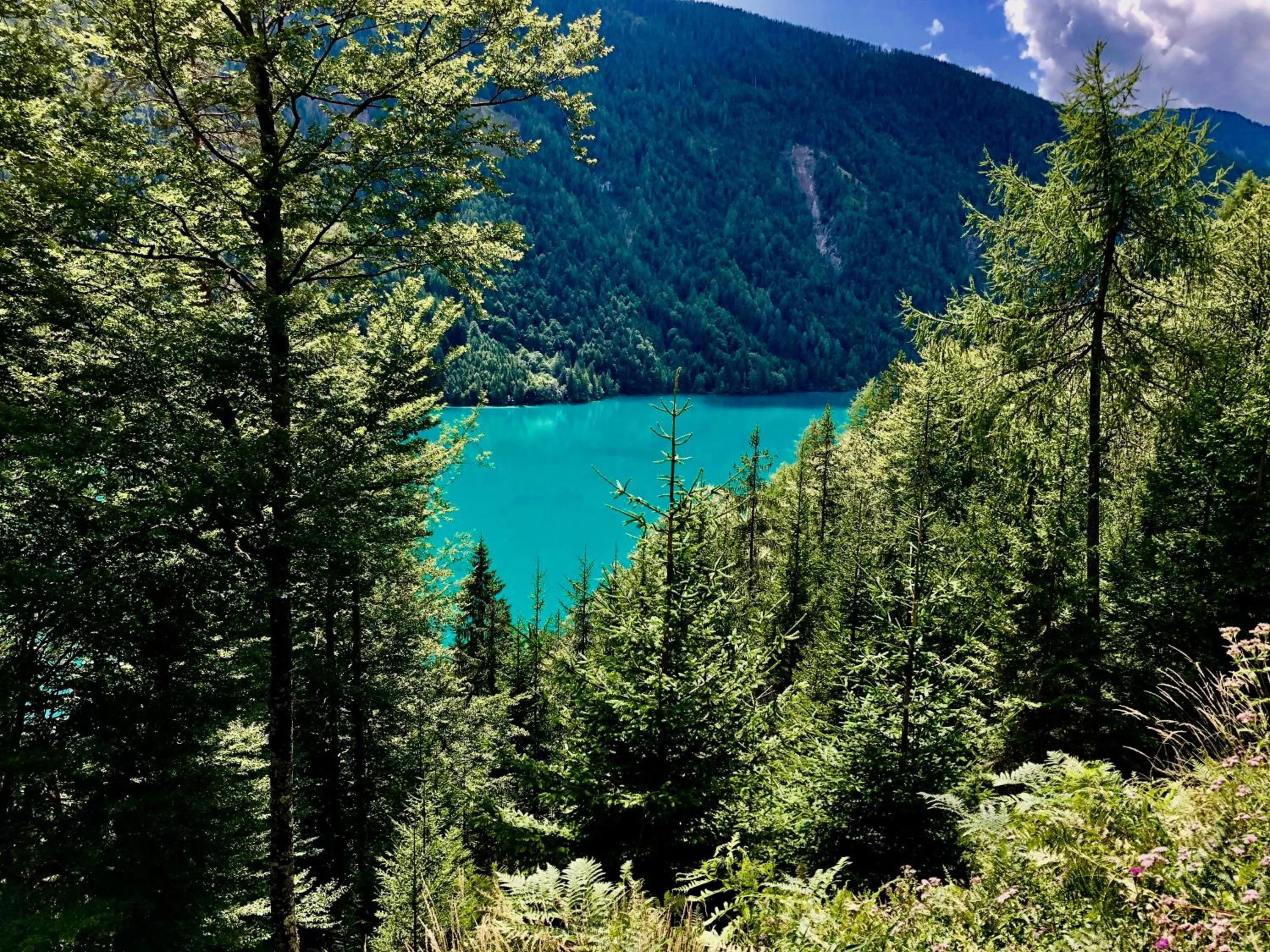 Natural landscape in Haus 26 Weißbriach