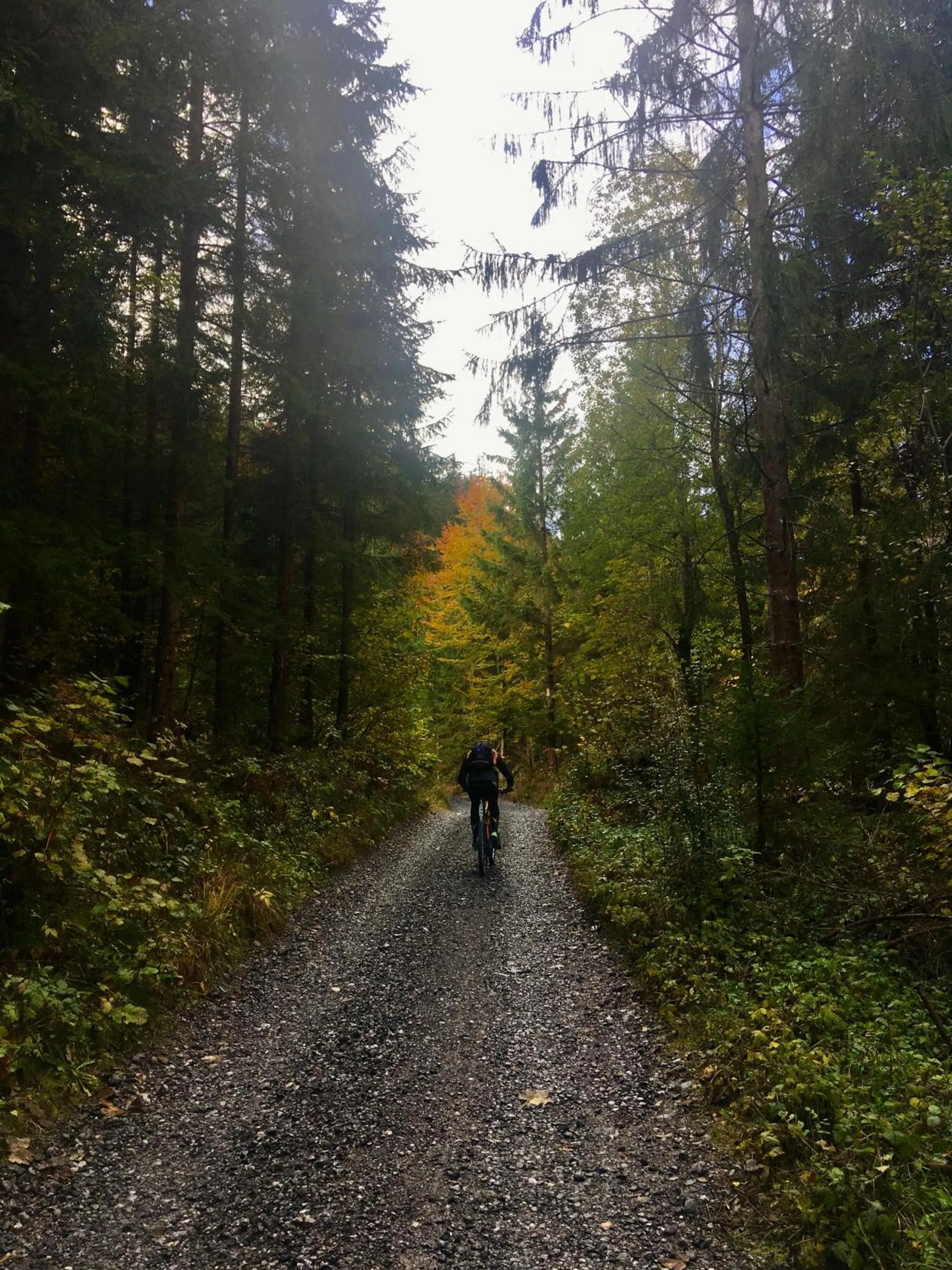 Cycling in Haus 26 Weißbriach