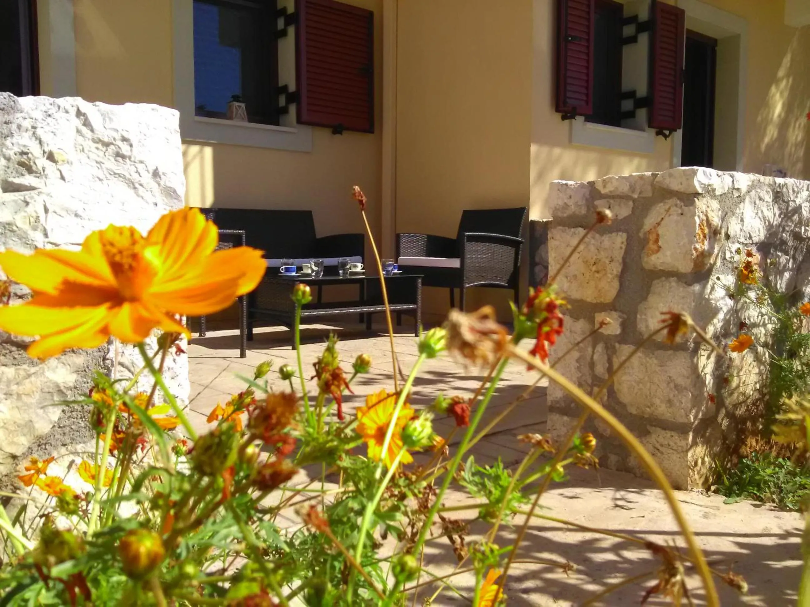 Garden in Mikros Gialos Apartments