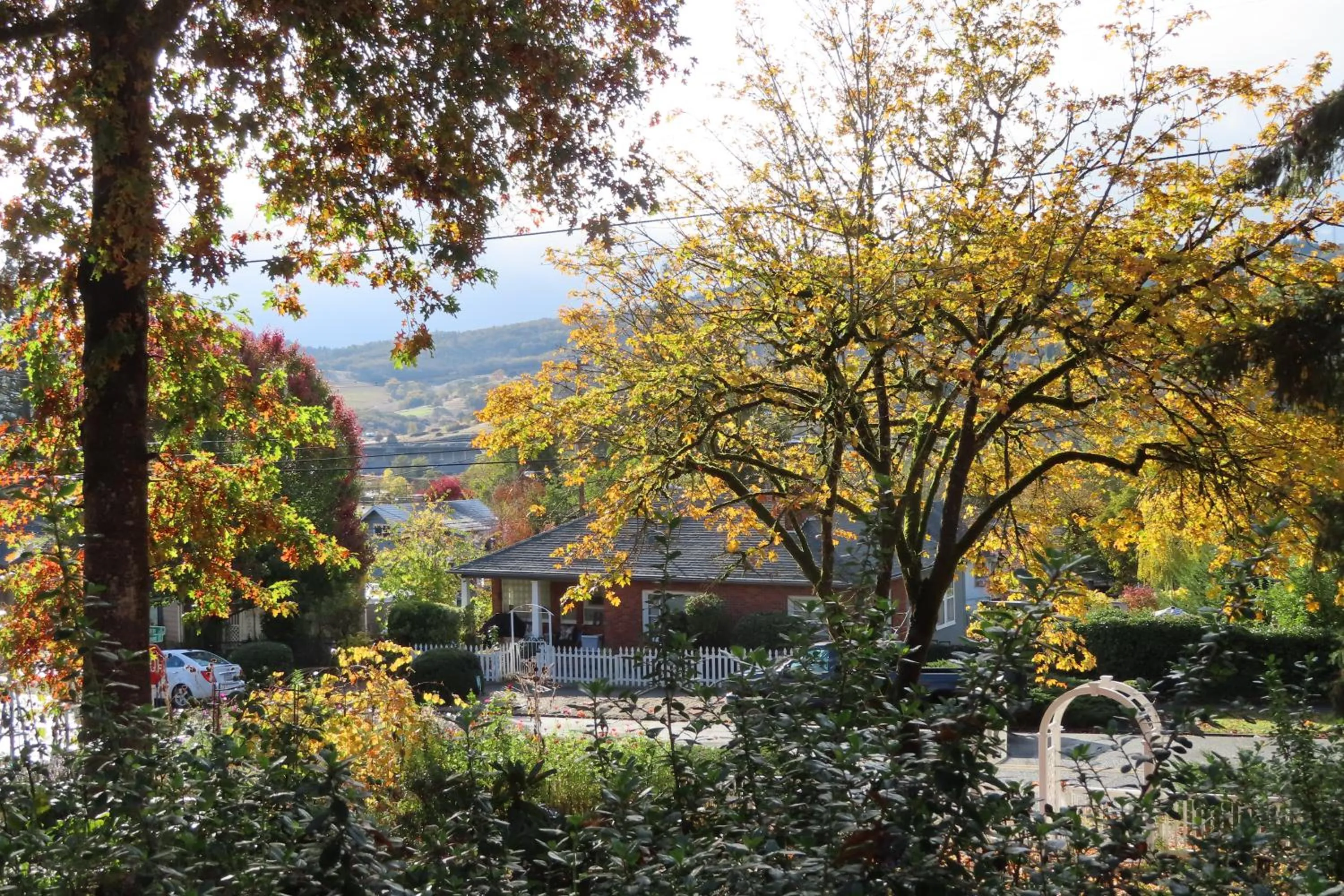 View (from property/room) in Terraluna Inn