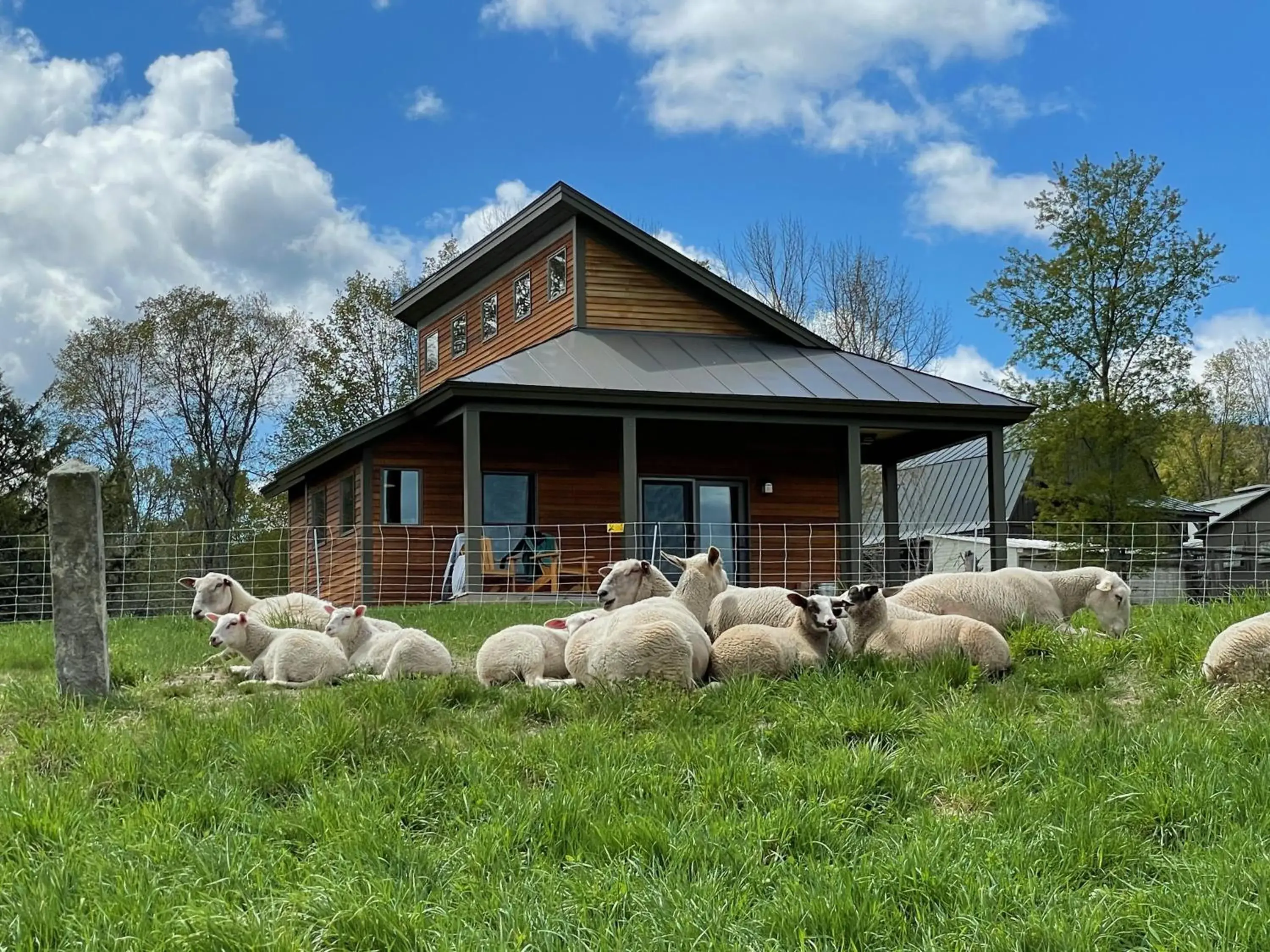 Fat Sheep Farm & Cabins Fat Sheep Farm & Cabins