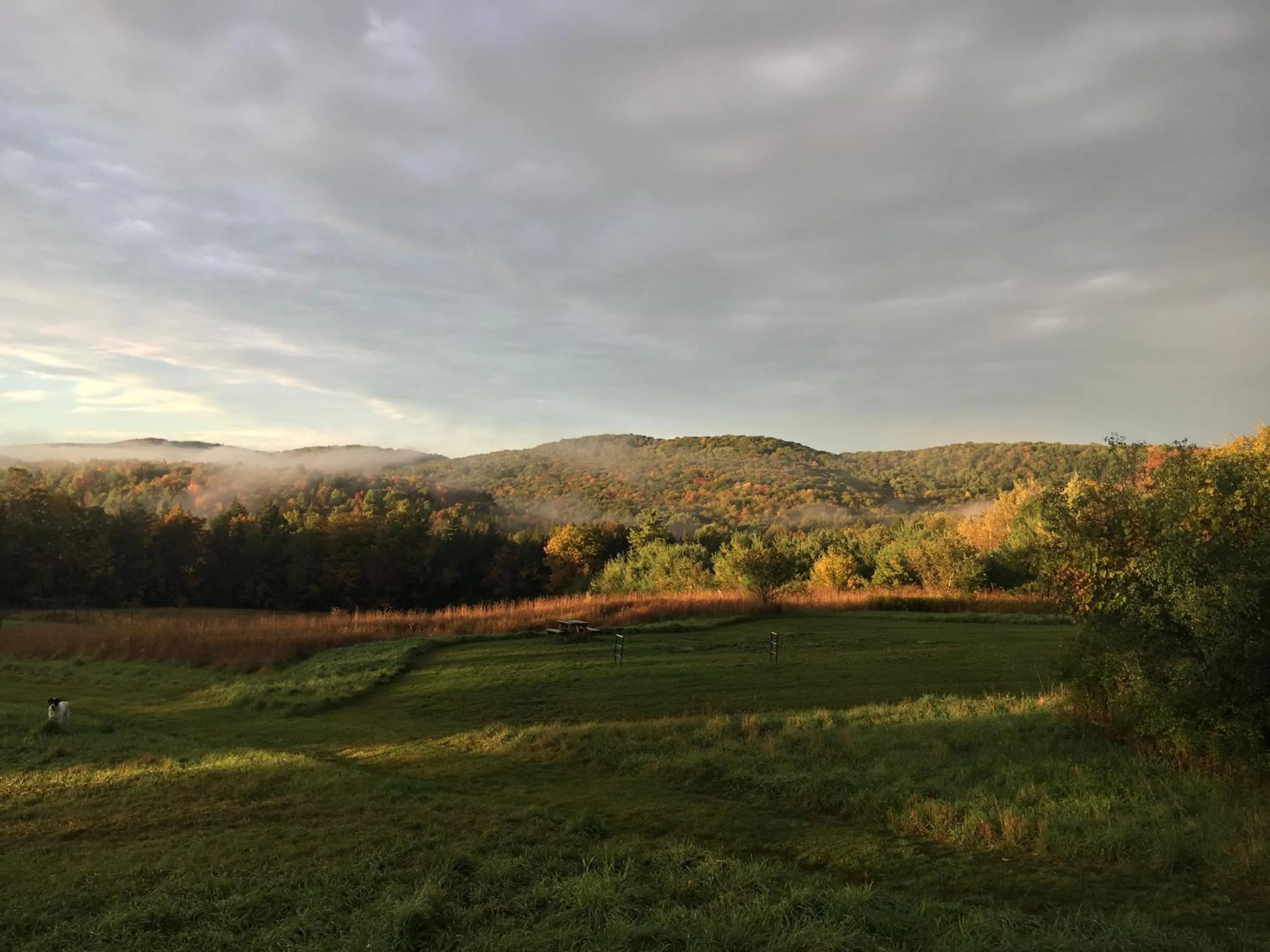 Sunset in Fat Sheep Farm & Cabins