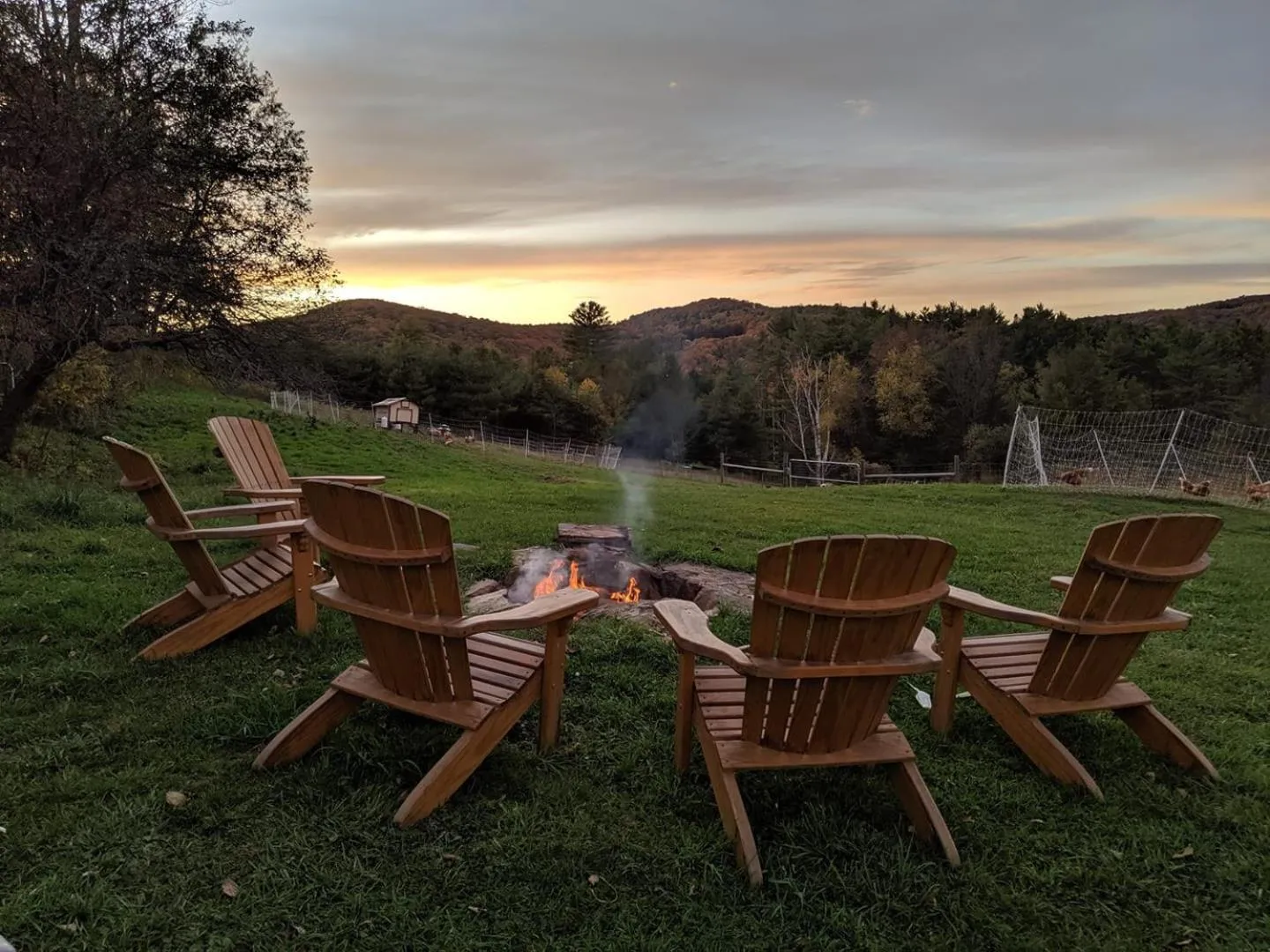 Sunset in Fat Sheep Farm & Cabins