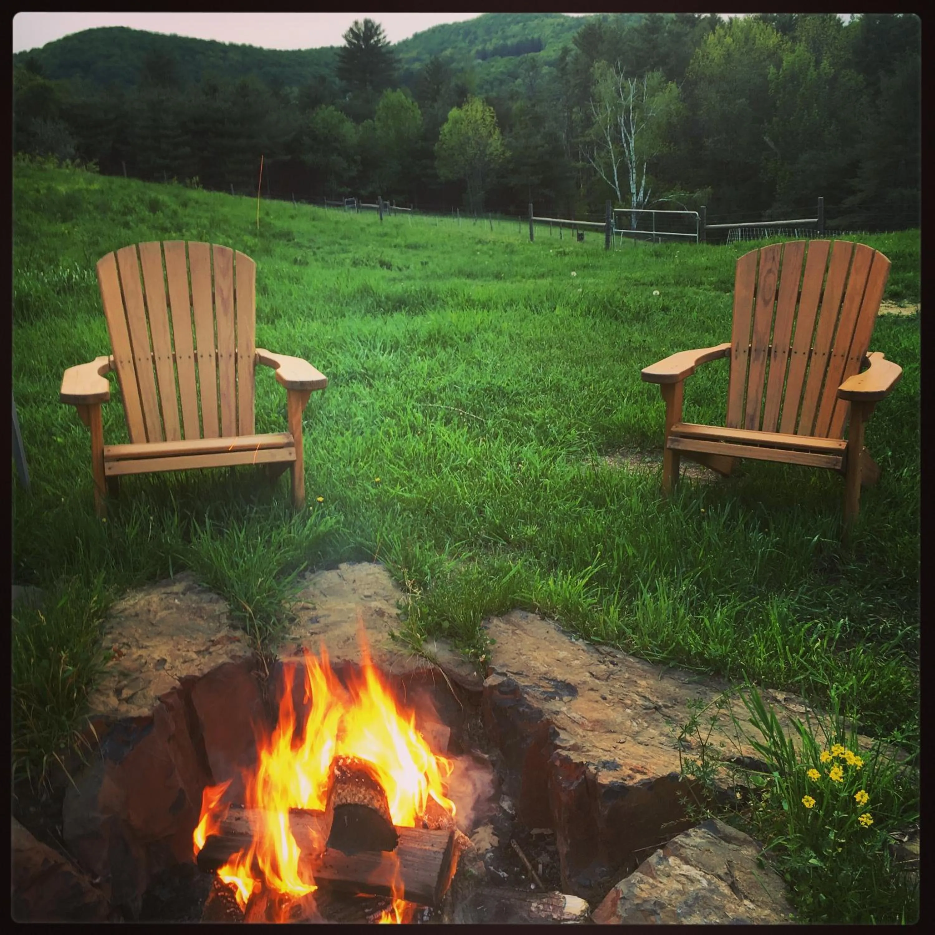 Fat Sheep Farm & Cabins