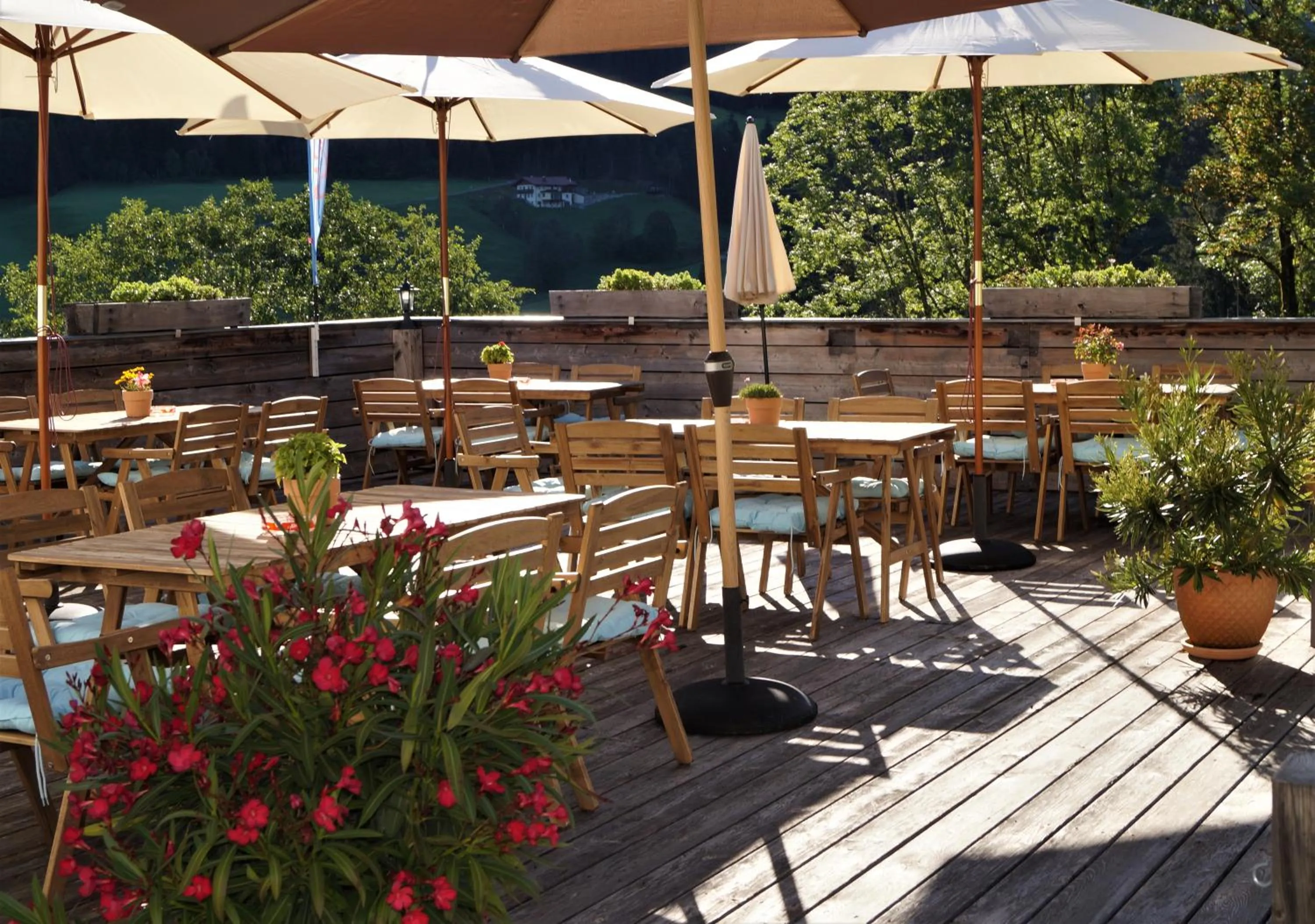 Restaurant/places to eat in Alpendorf Dachstein West by ALPS RESORTS