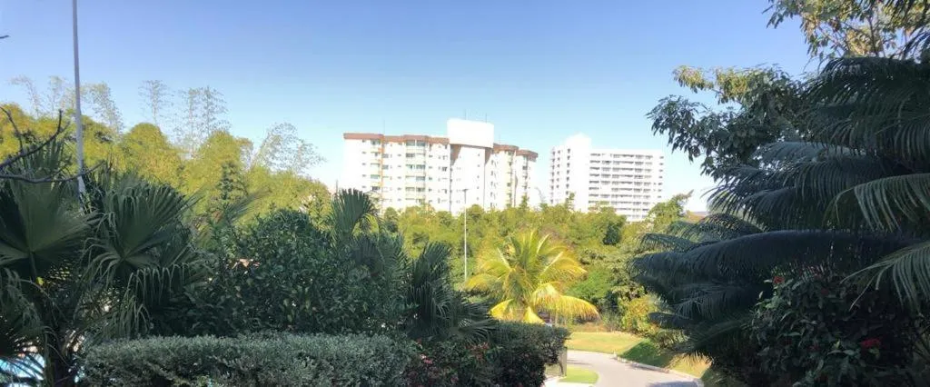 Golden Dolphin Express