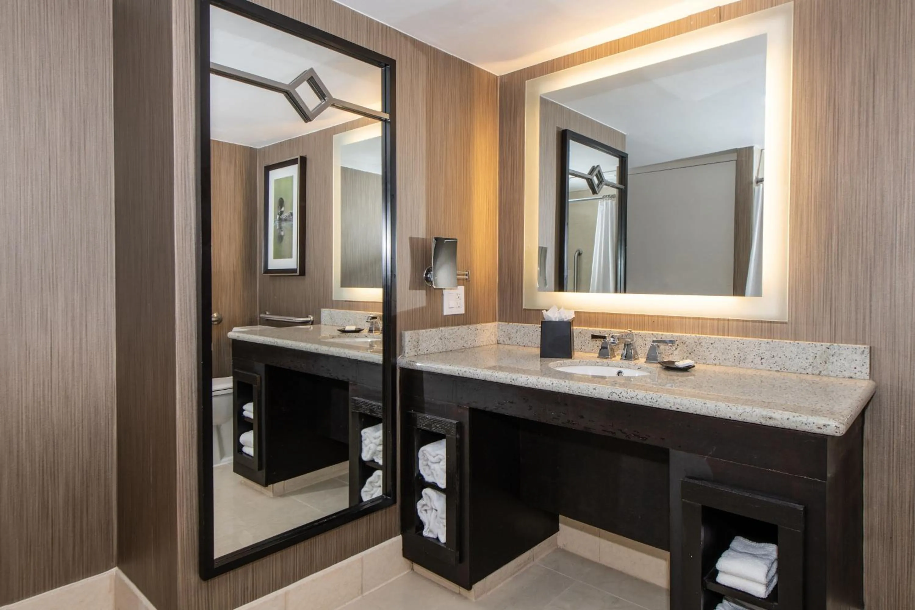 Bathroom in Sheraton Minneapolis West Hotel